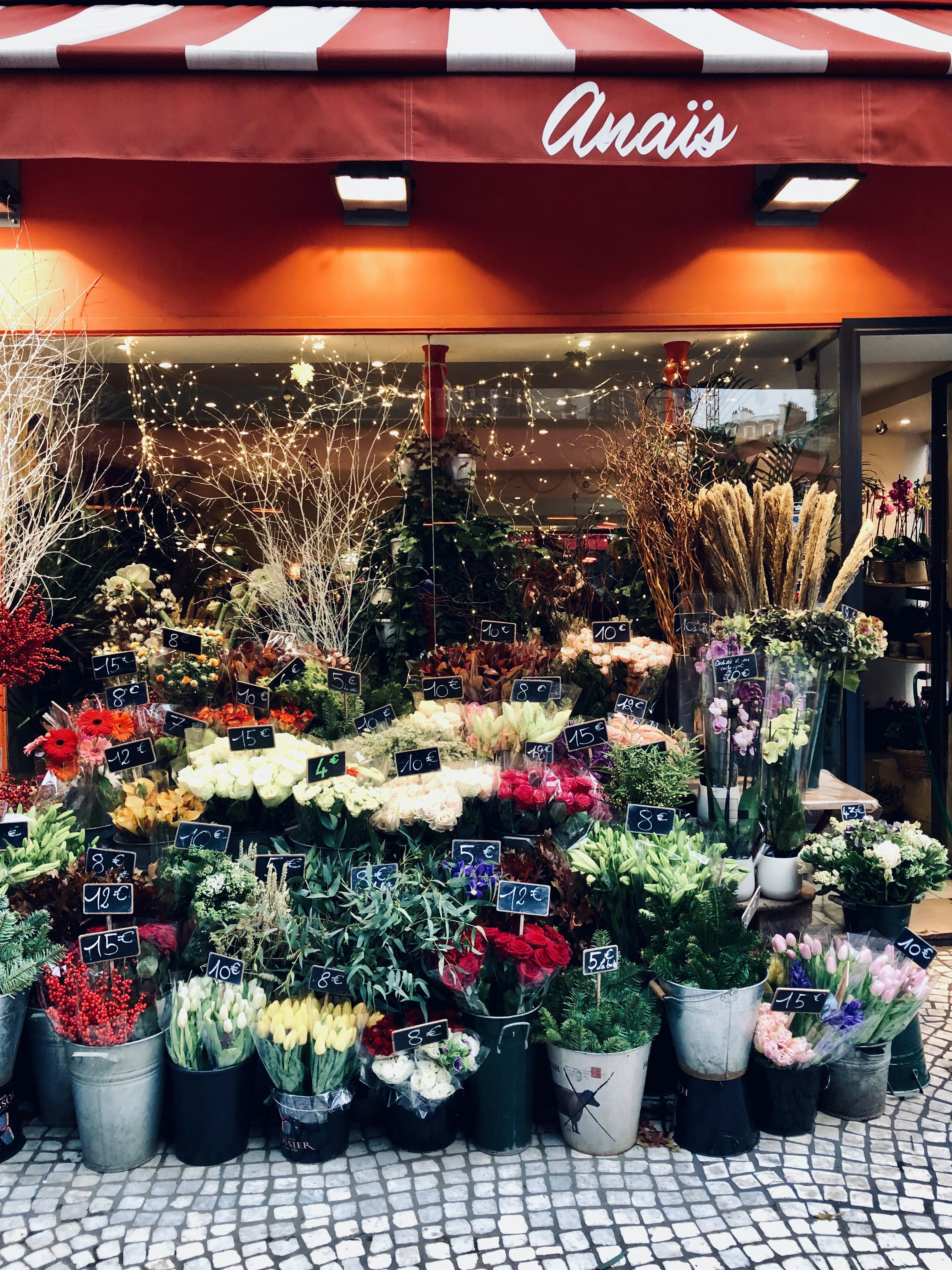 Whimsical Floral Arrangement