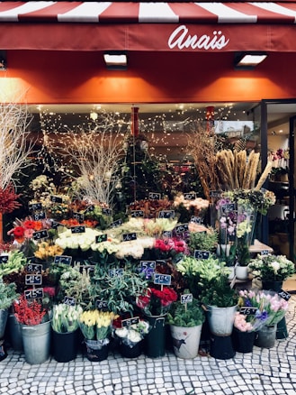A charming flower shop displays a variety of colorful flowers and plants in assorted buckets and containers. The shop has a red and white striped awning with the name 'Ana&iuml;s' on it. Numerous bunches of flowers including roses, tulips, and other floral assortments are neatly arranged with price tags attached. The scene is vibrant with greenery and a backdrop of decorative lights that add a warm glow.