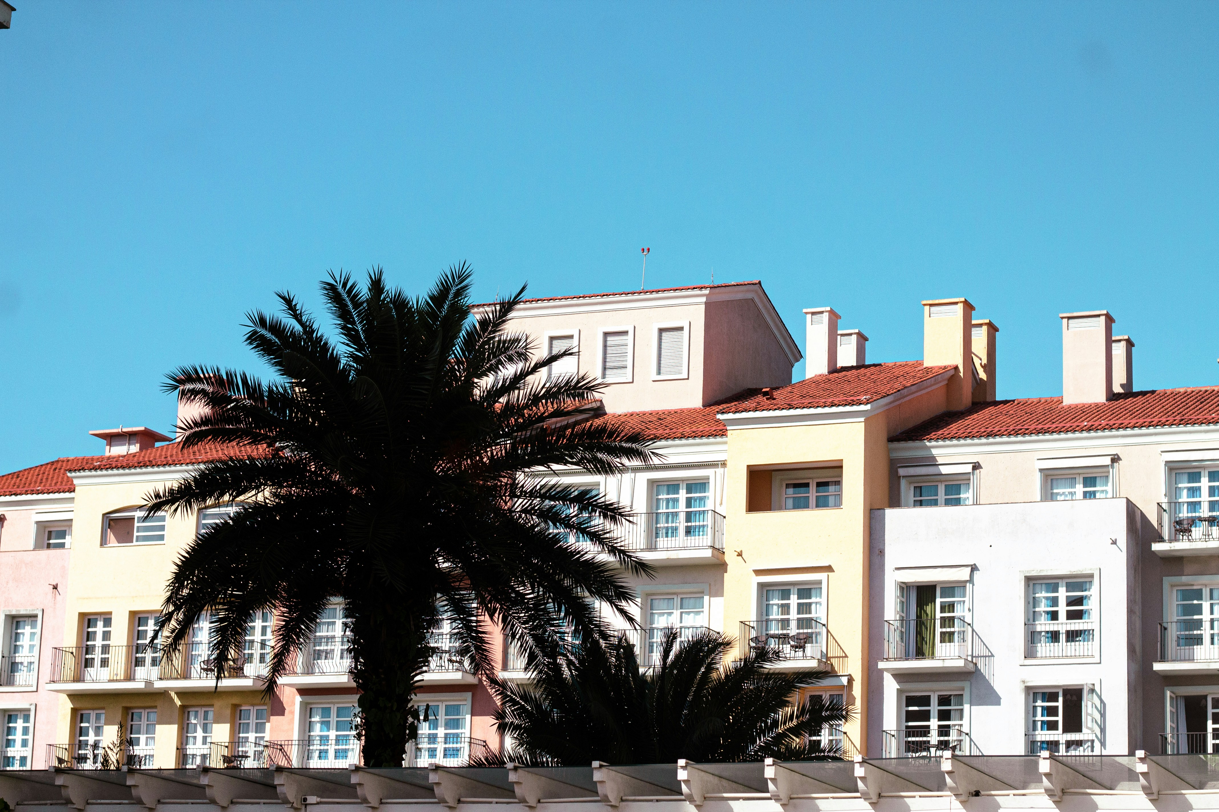 Photo by salescreations