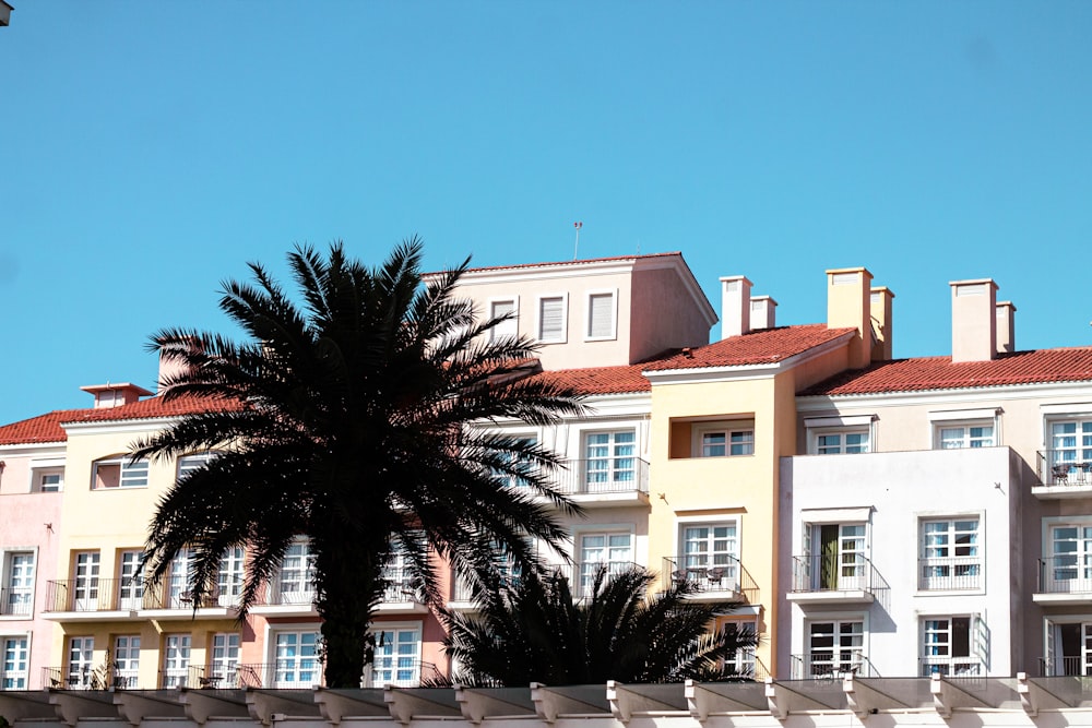 a tree in front of a building