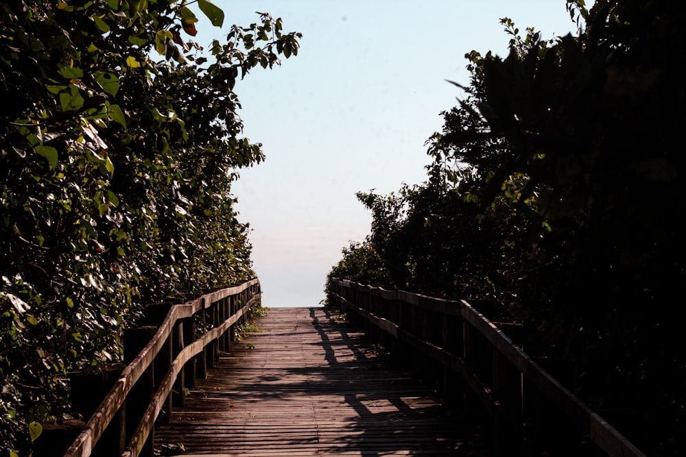 a wooden bridge over a body of water