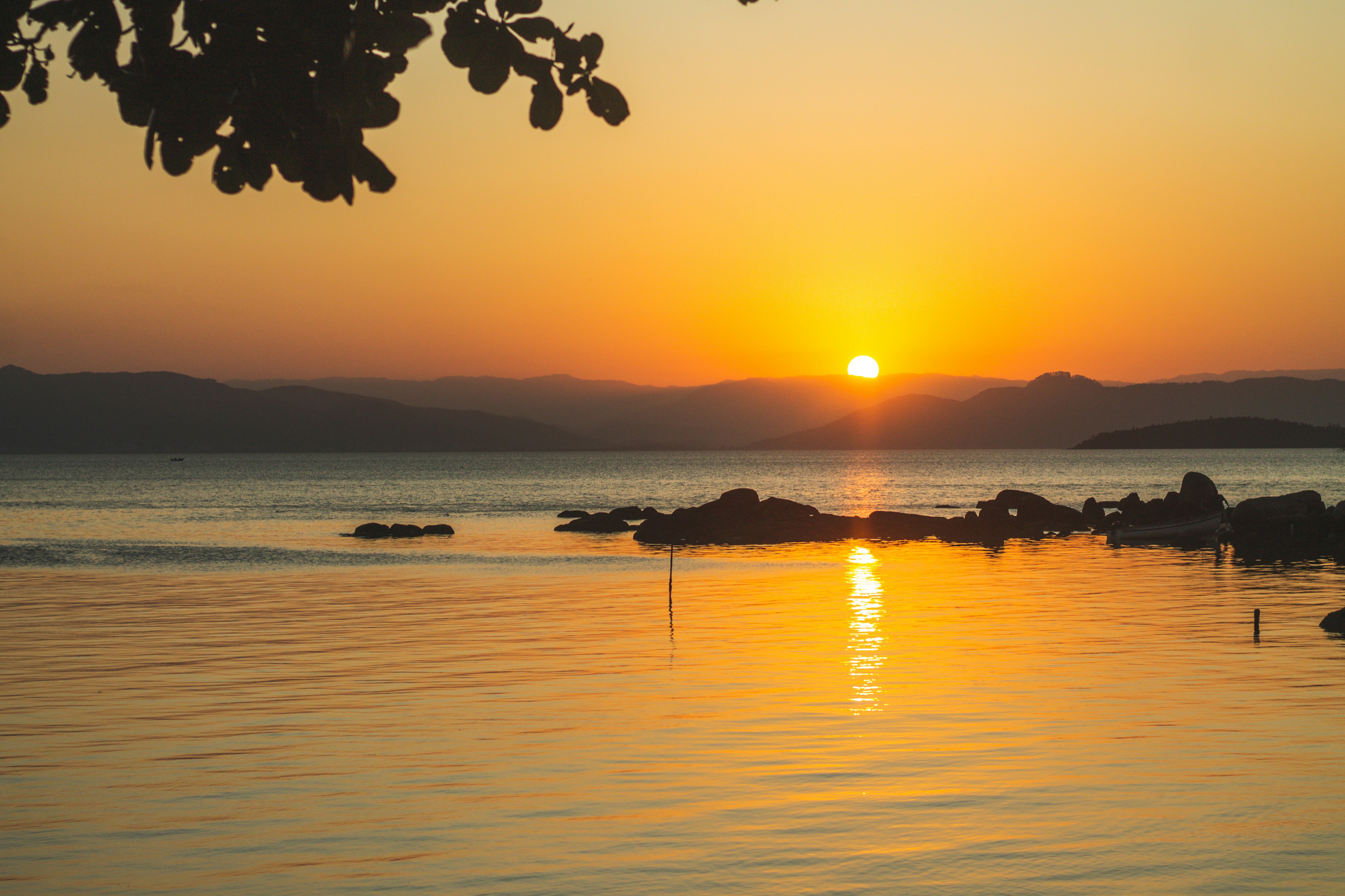 Photo by salescreations