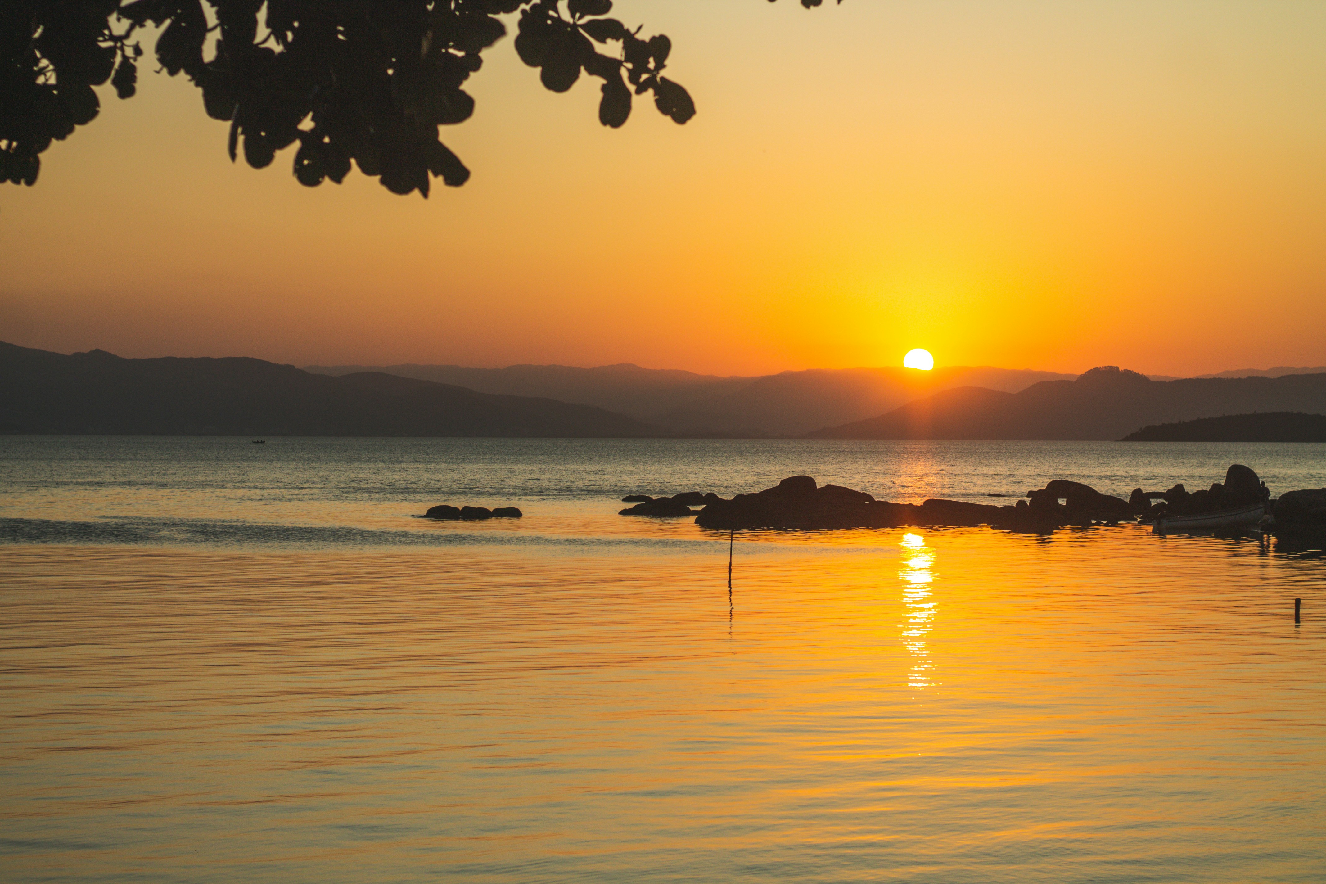 Photo by salescreations