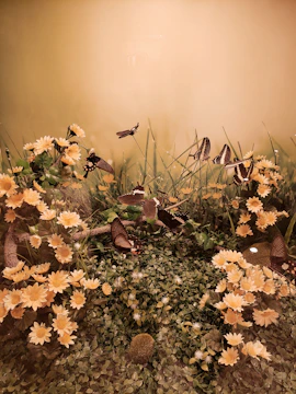 A serene garden scene with butterflies fluttering around.