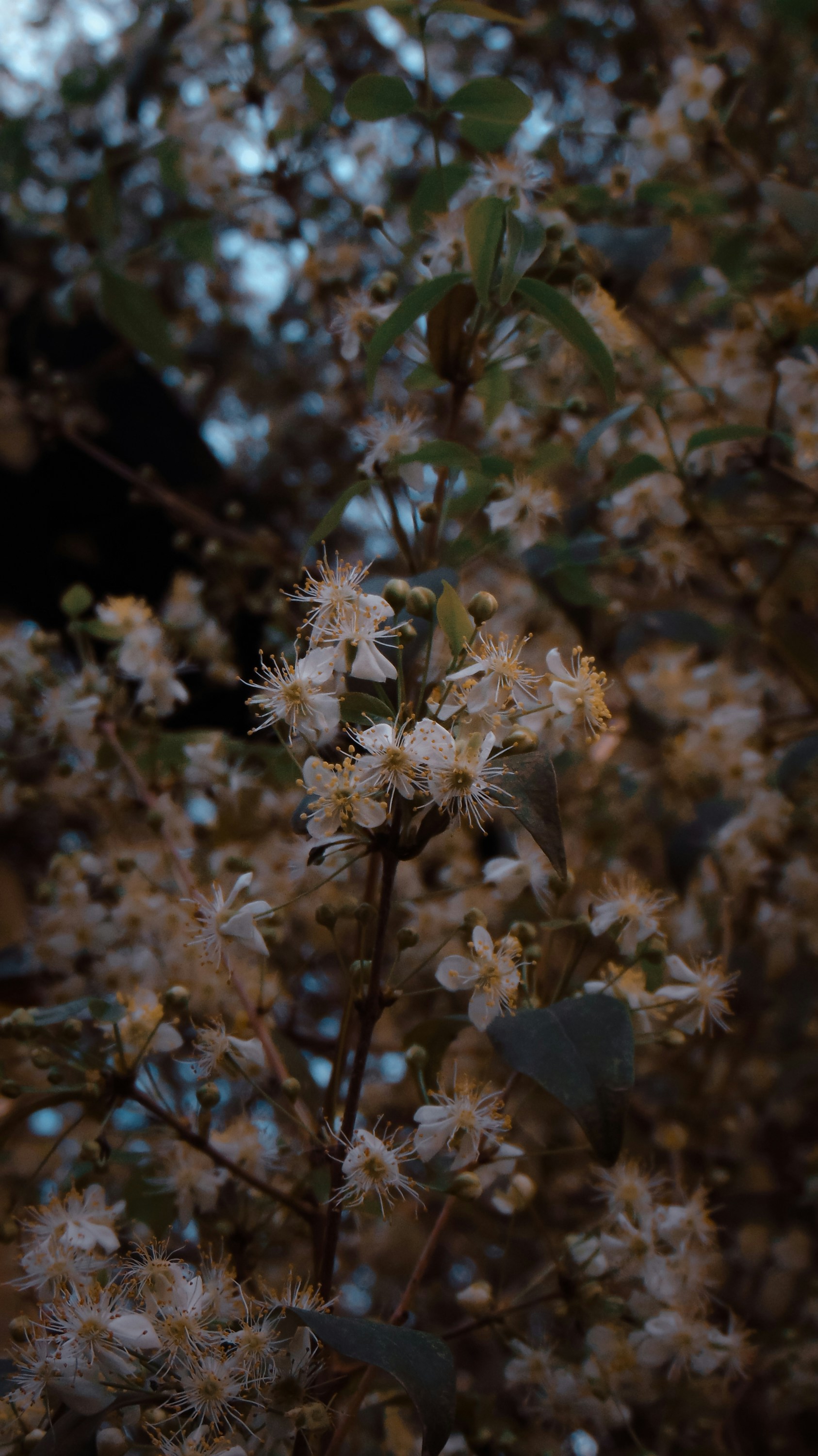 Photo by lucasvphotos