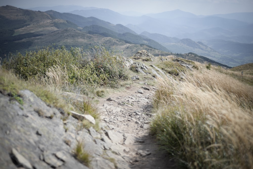 um caminho rochoso nas montanhas