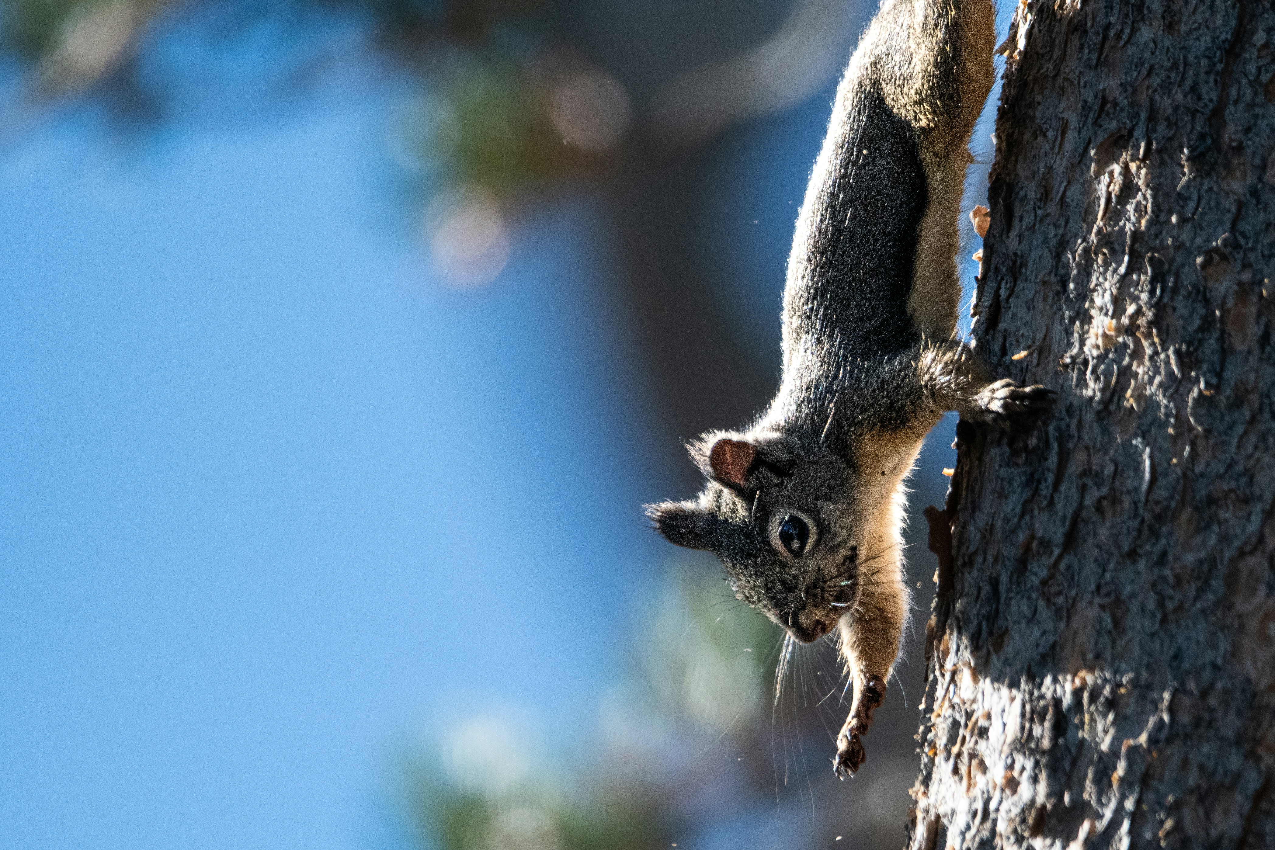 Photo by elisastonephotography