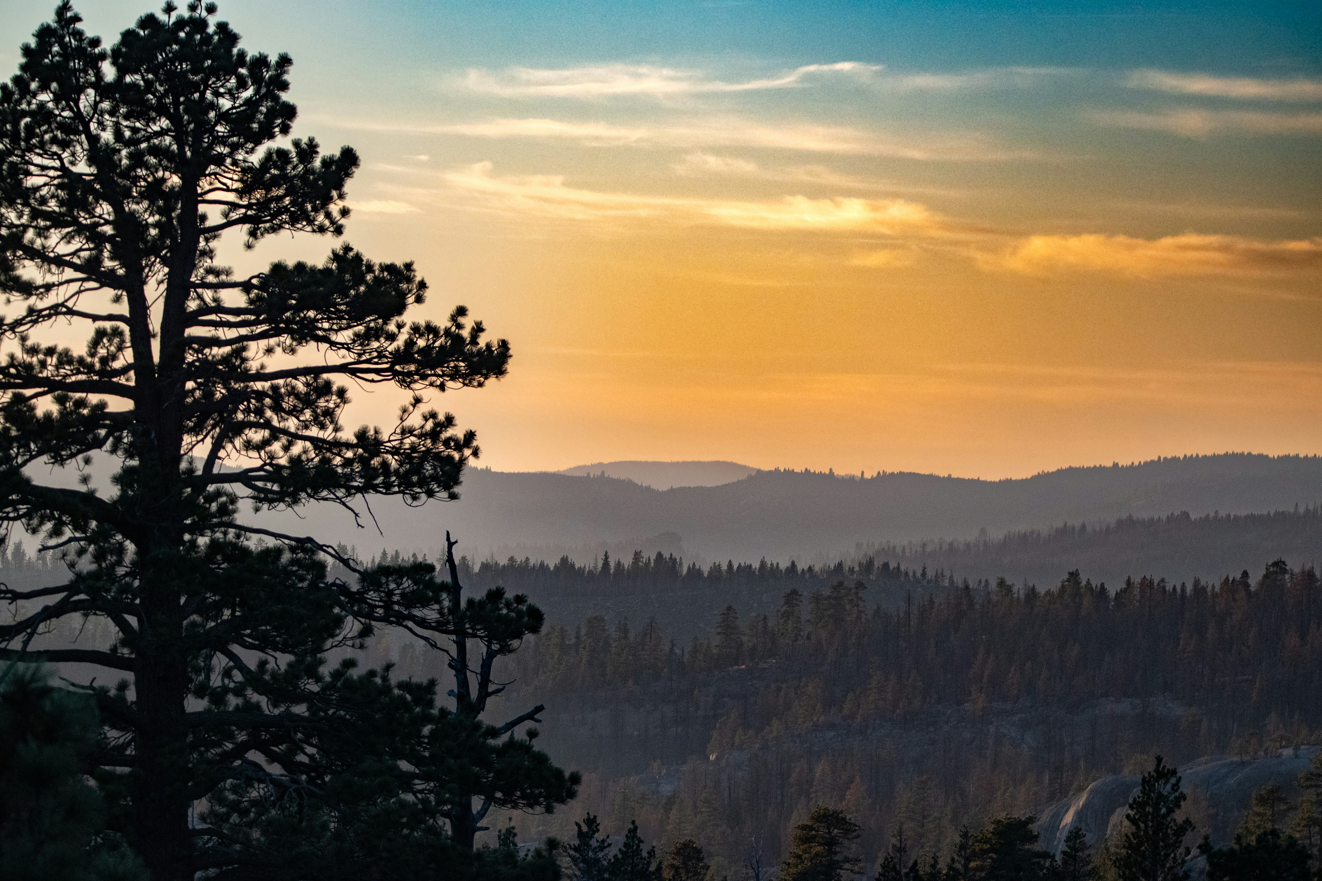 Photo by elisastonephotography