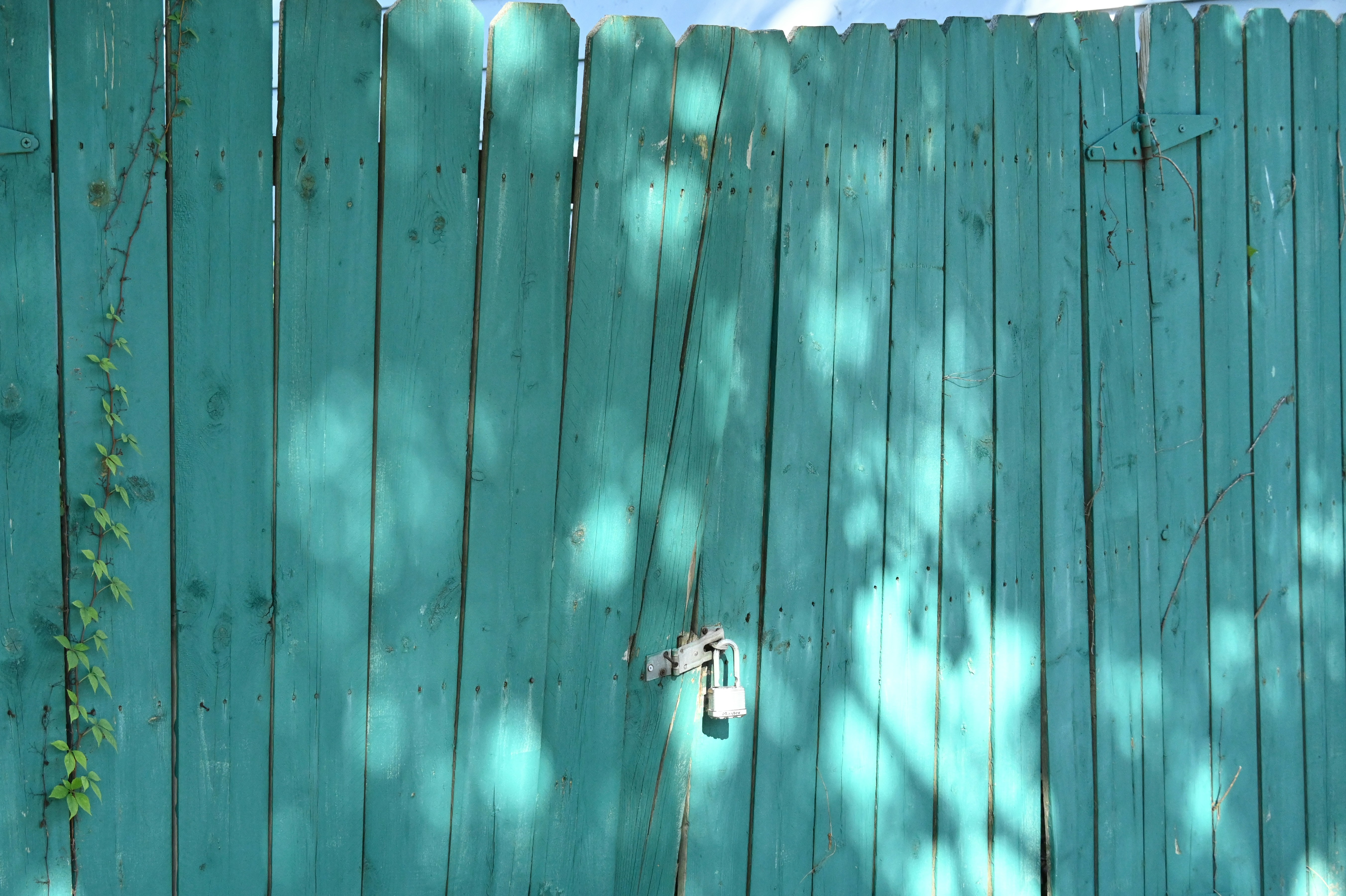 colored fence