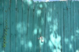 A teal-colored wooden fence with vertical planks, featuring a small padlock attached to one of the planks. Sunlight filters through the trees above, creating dappled light and shadow patterns on the fence. A vine with green leaves is creeping up the left side of the fence.