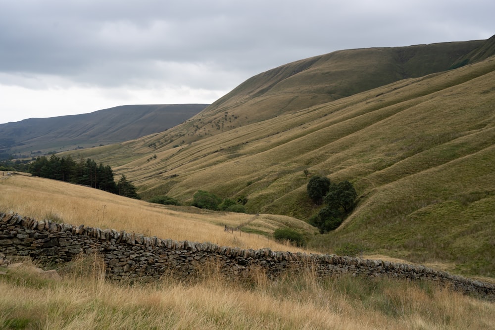 a grassy hill with a fence