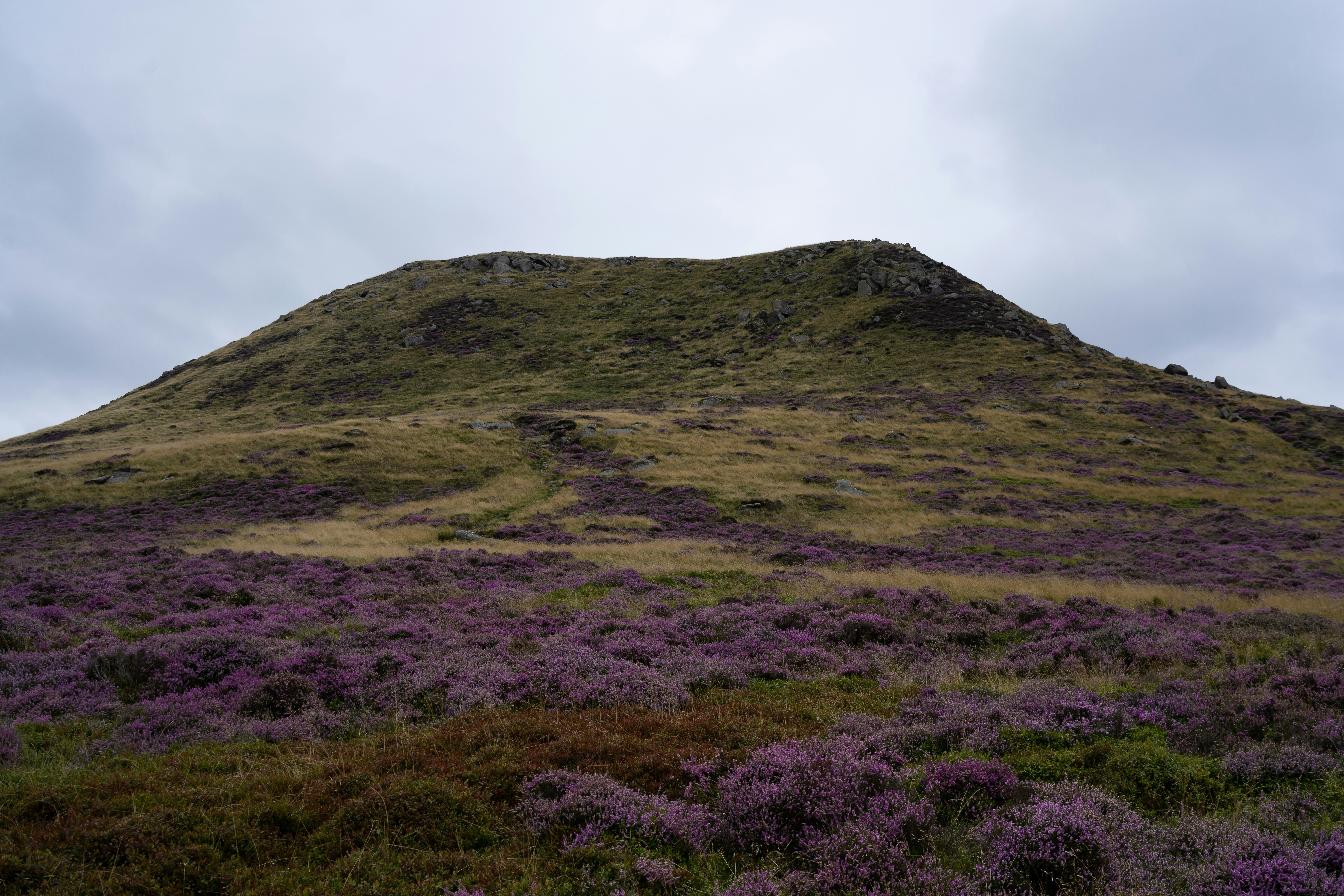 Photo by adrianchyra