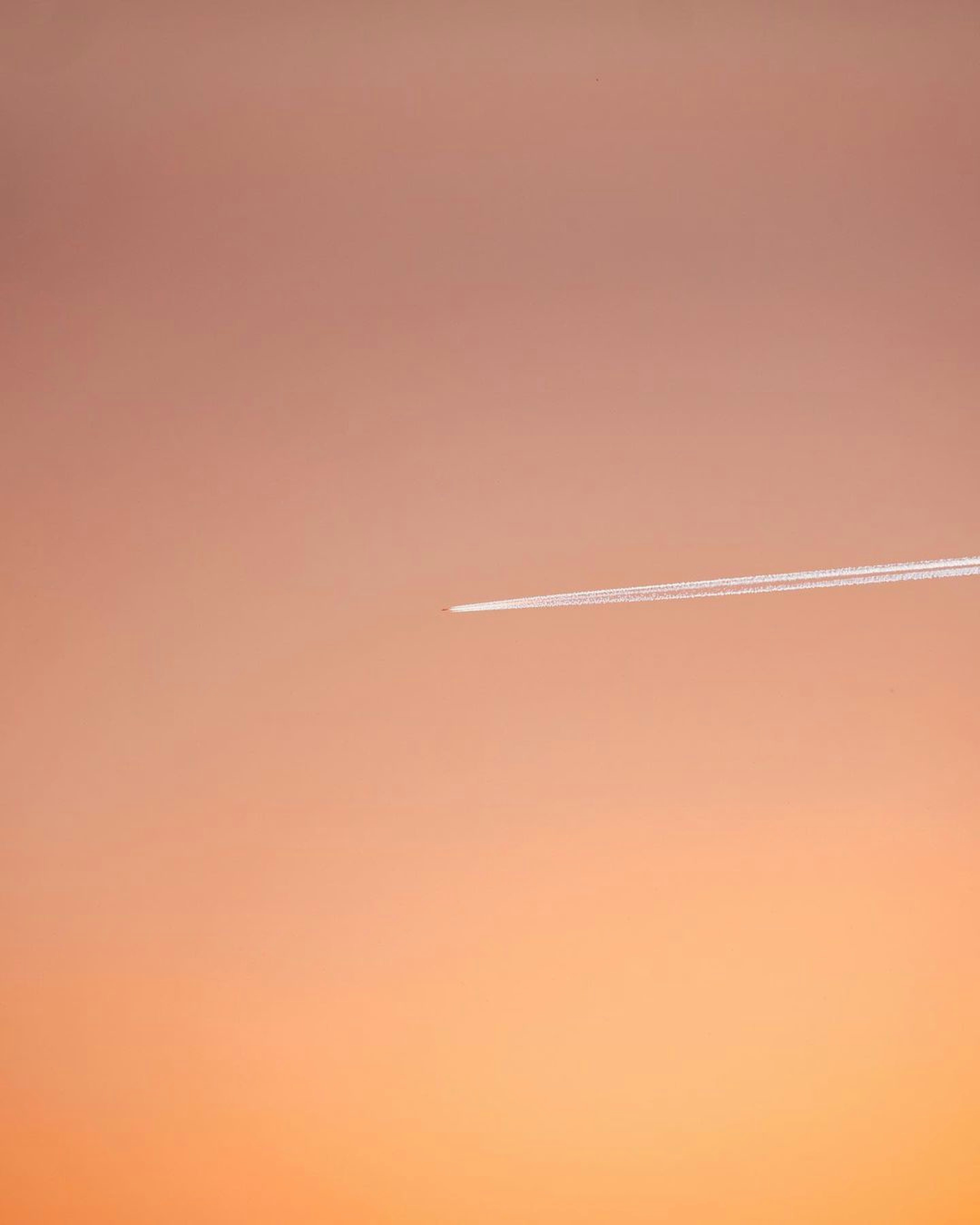 Photo by pramodtiwari