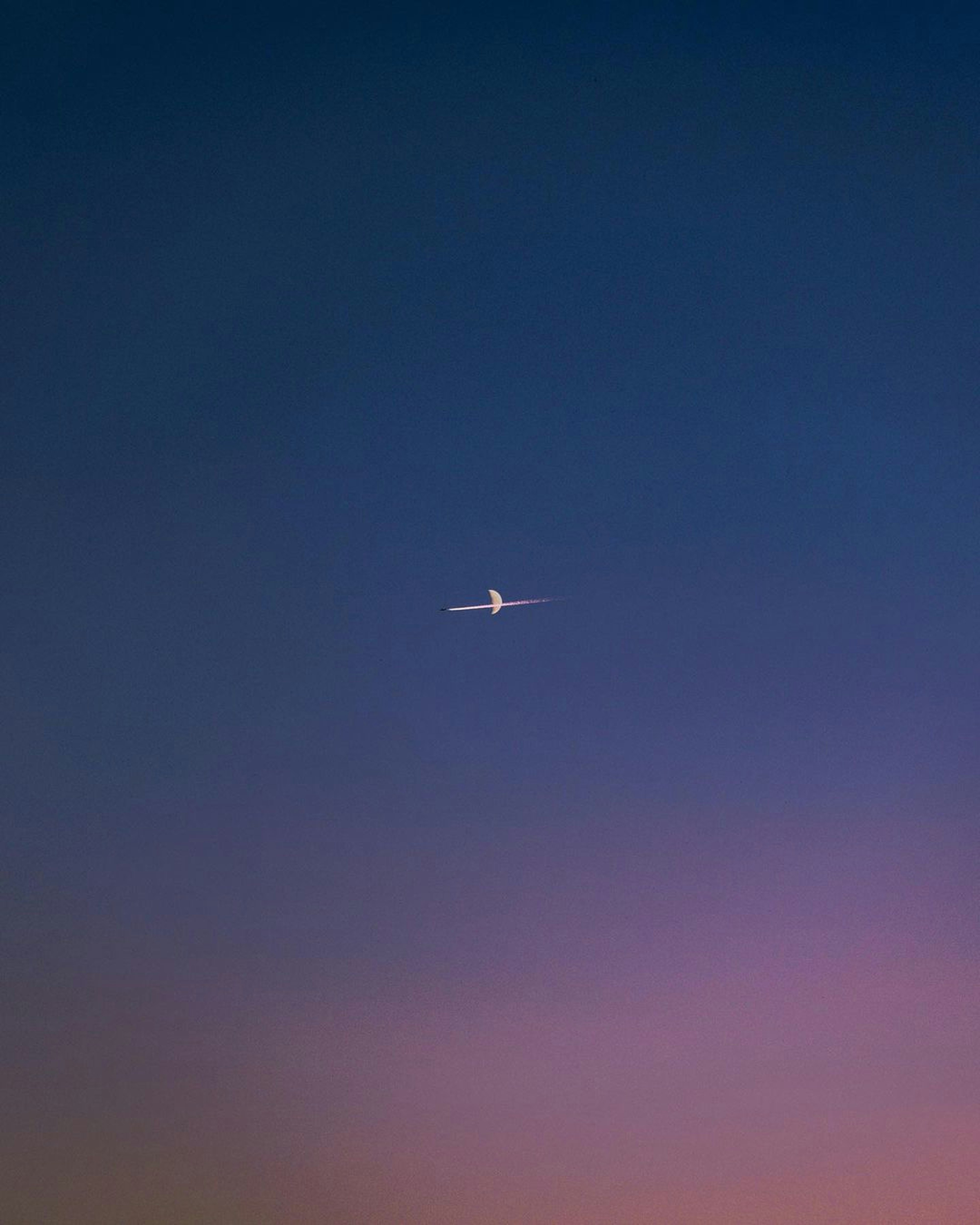 Photo by pramodtiwari