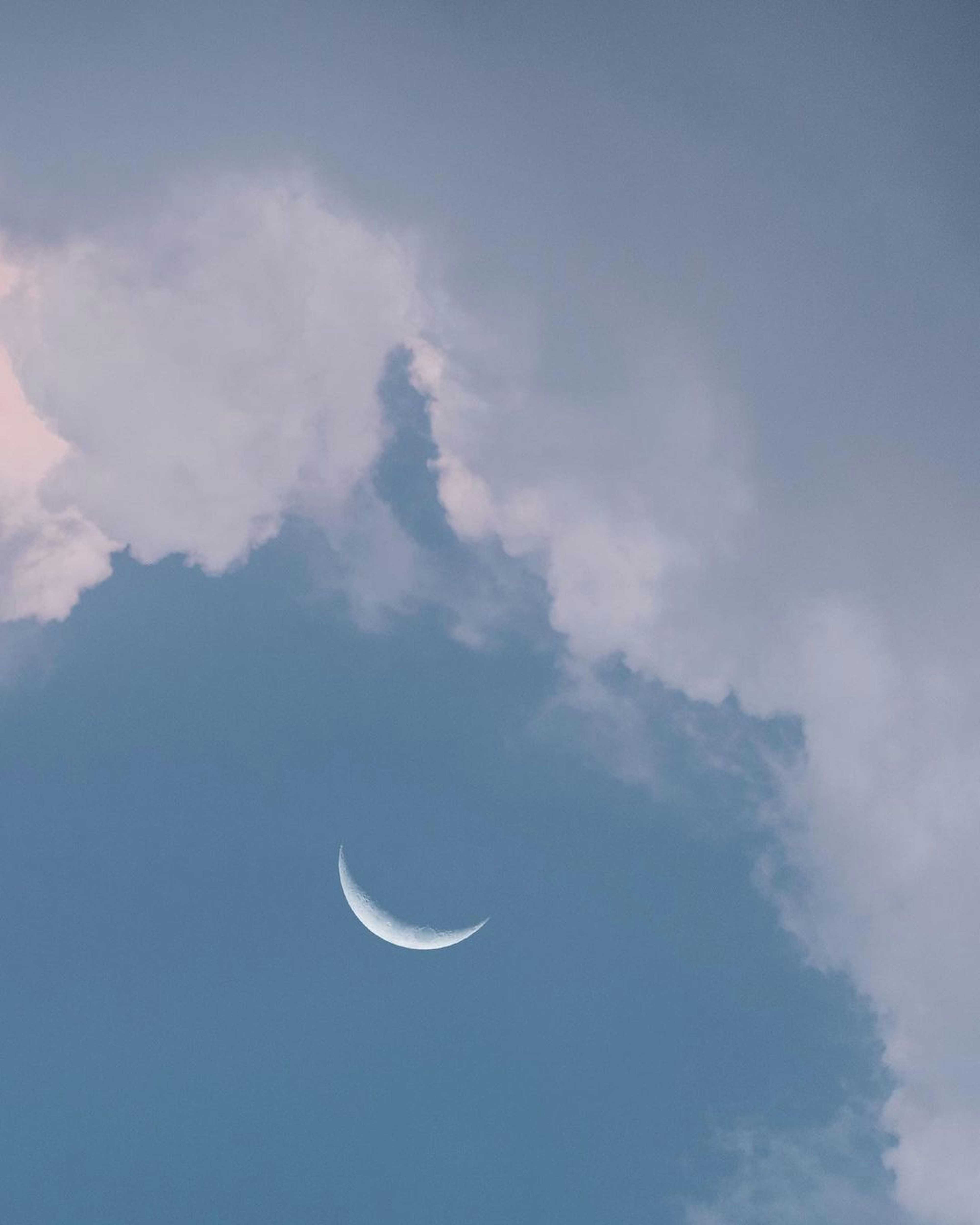 Photo by pramodtiwari