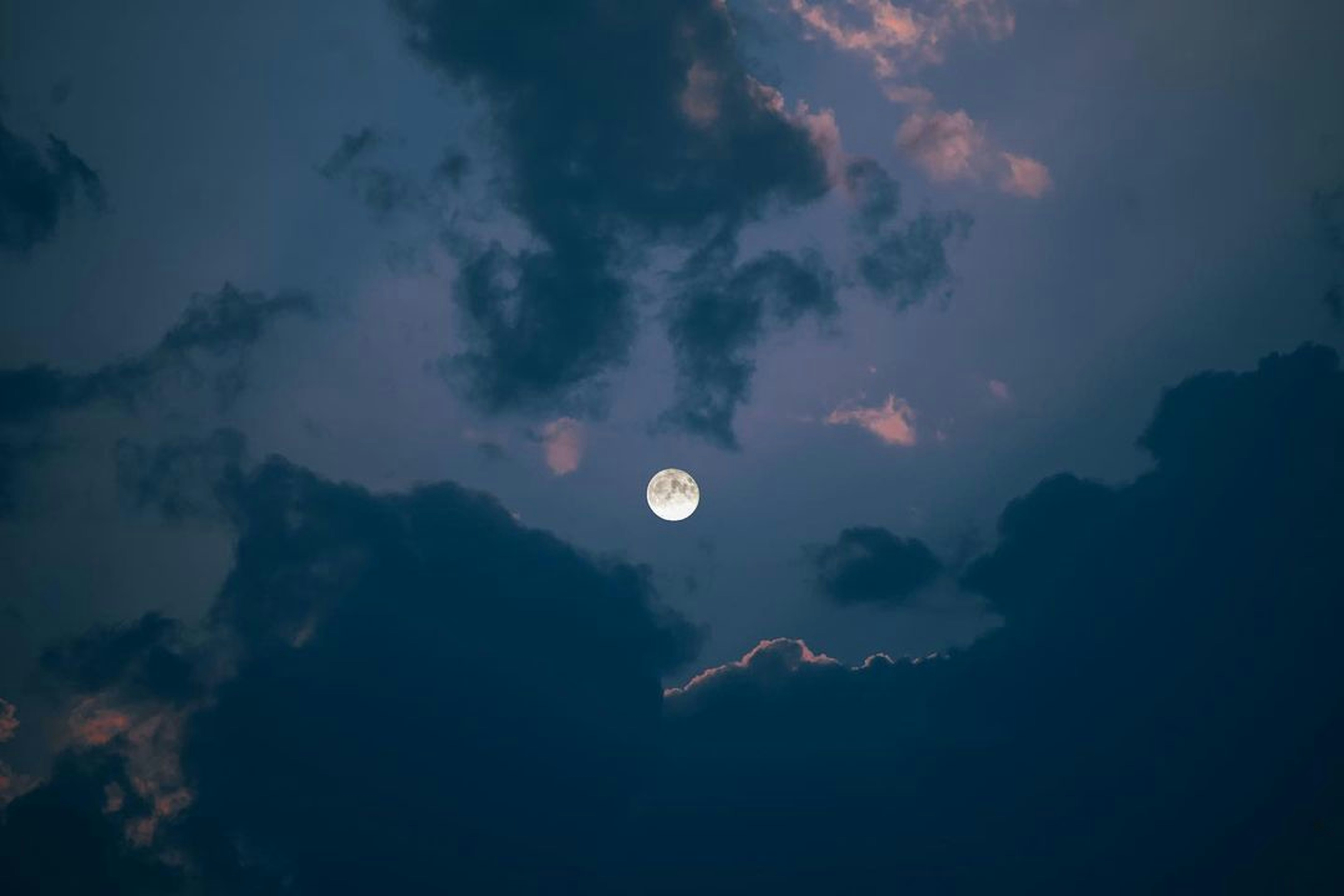 Photo by pramodtiwari