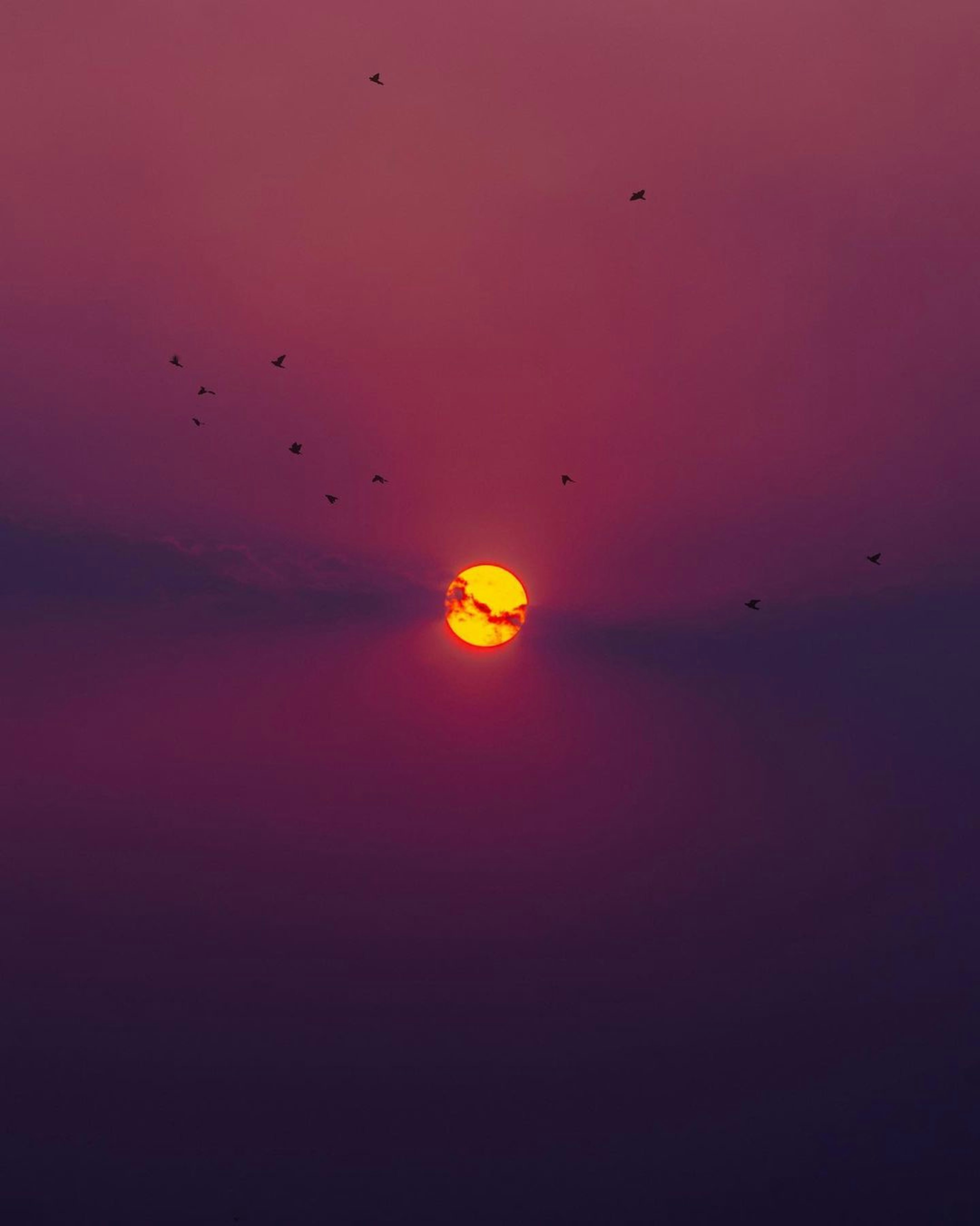 Photo by pramodtiwari
