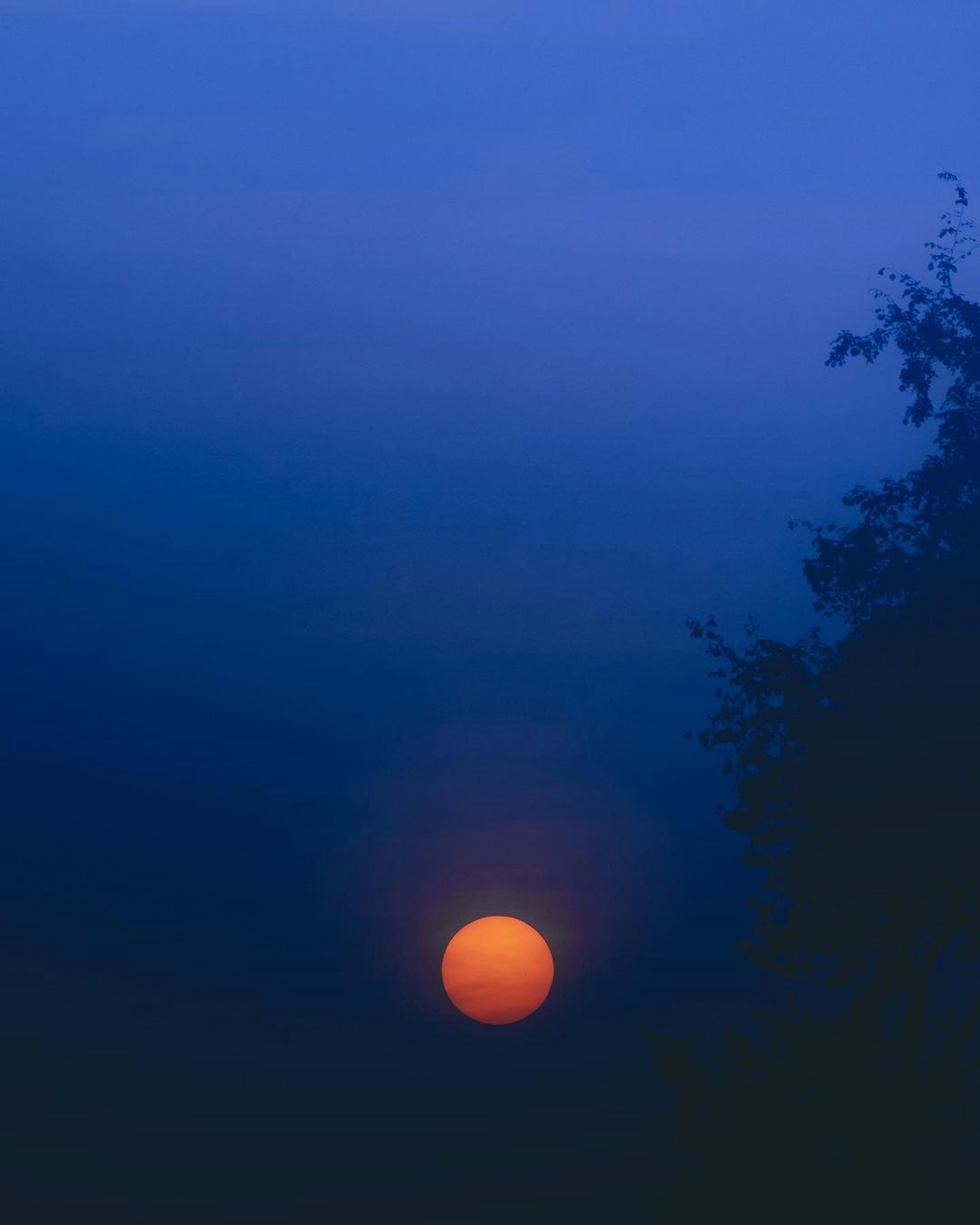 Photo by pramodtiwari