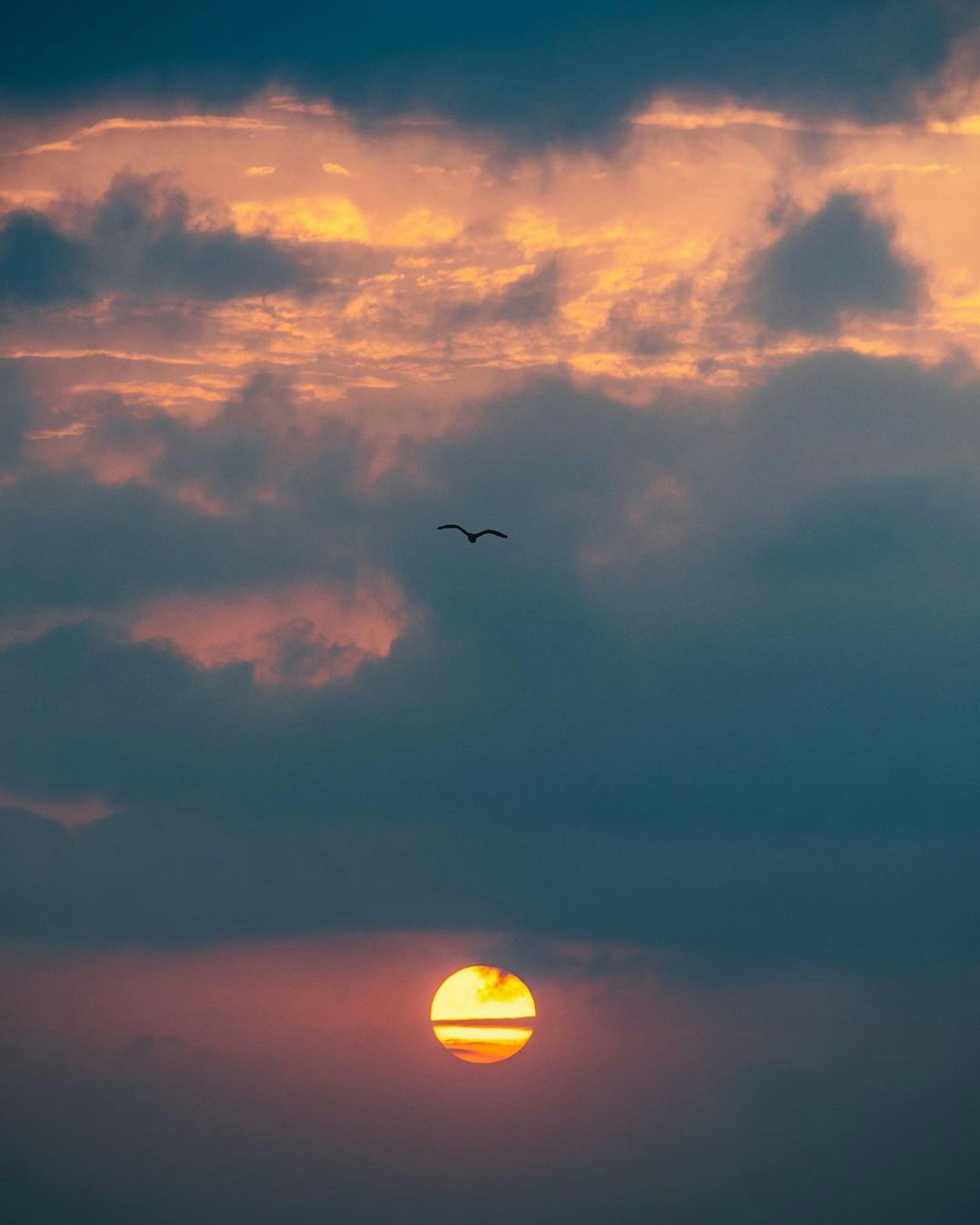 Photo by pramodtiwari