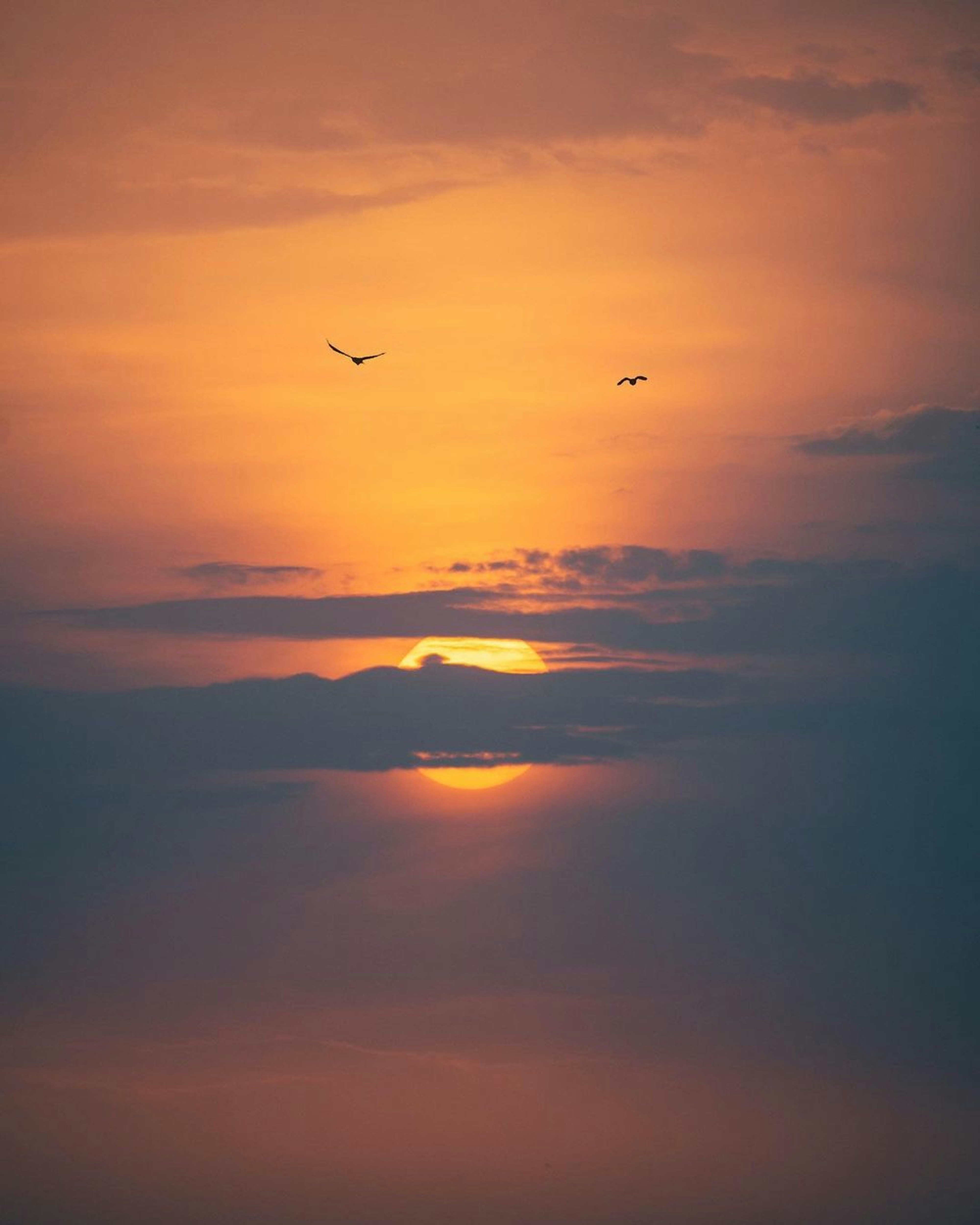 Photo by pramodtiwari