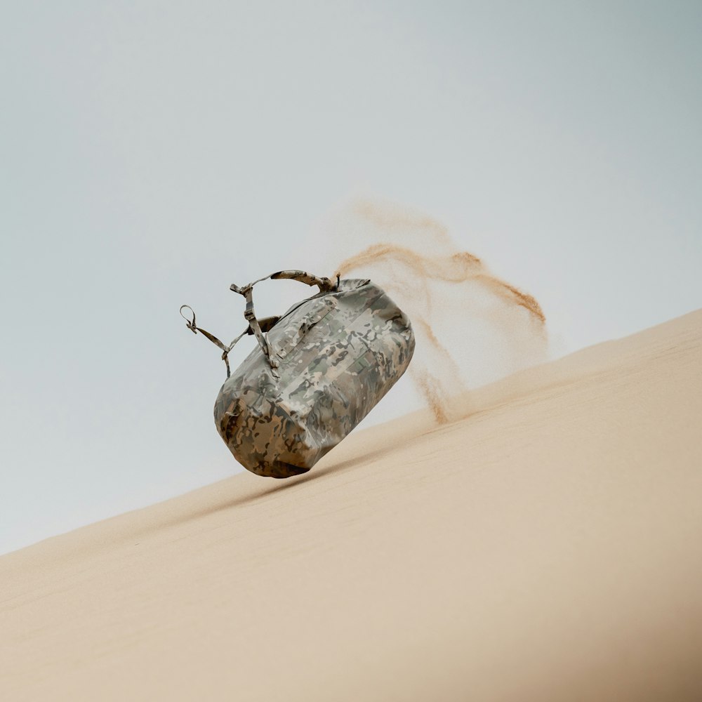 a bug on a white surface