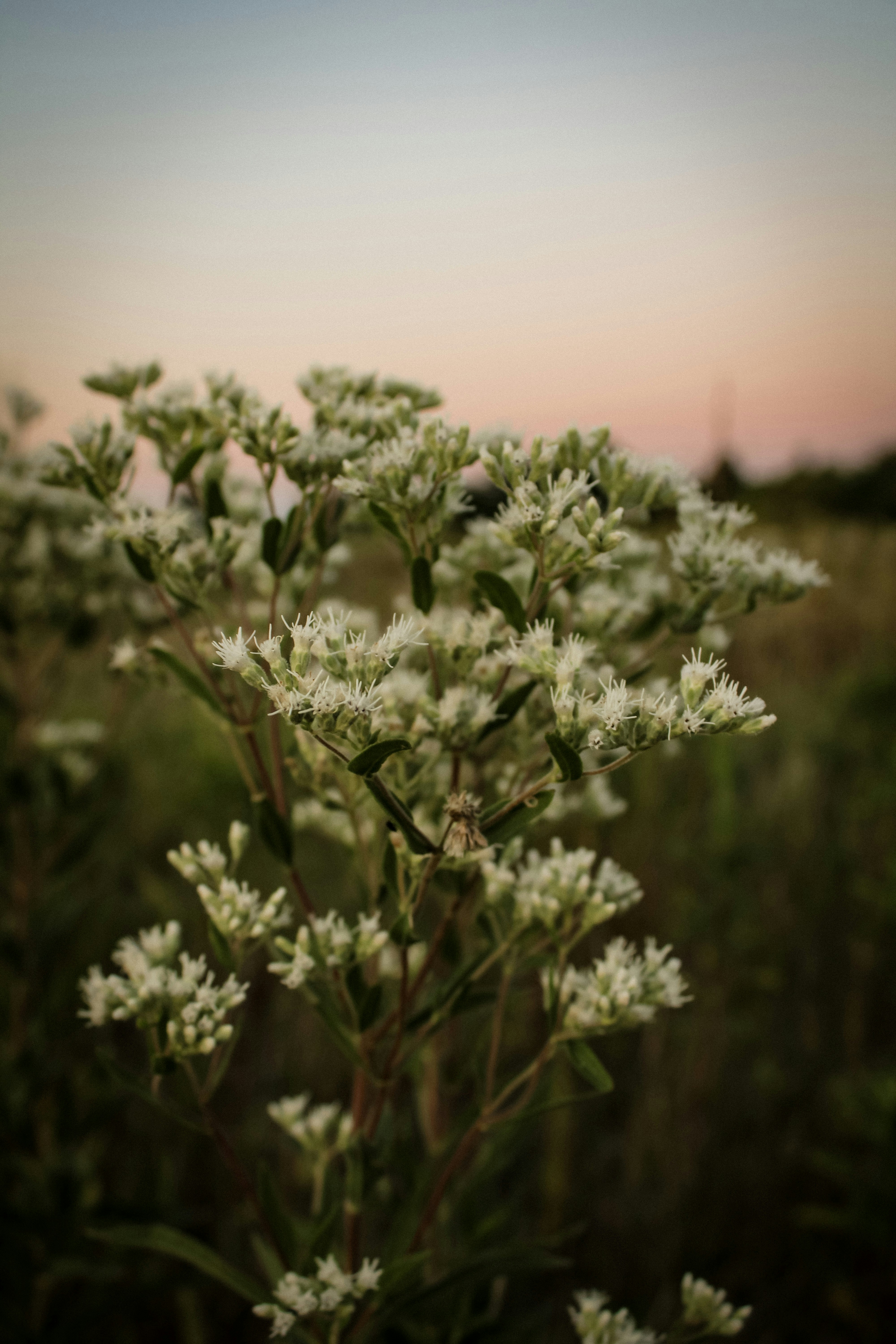Photo by gavynfox