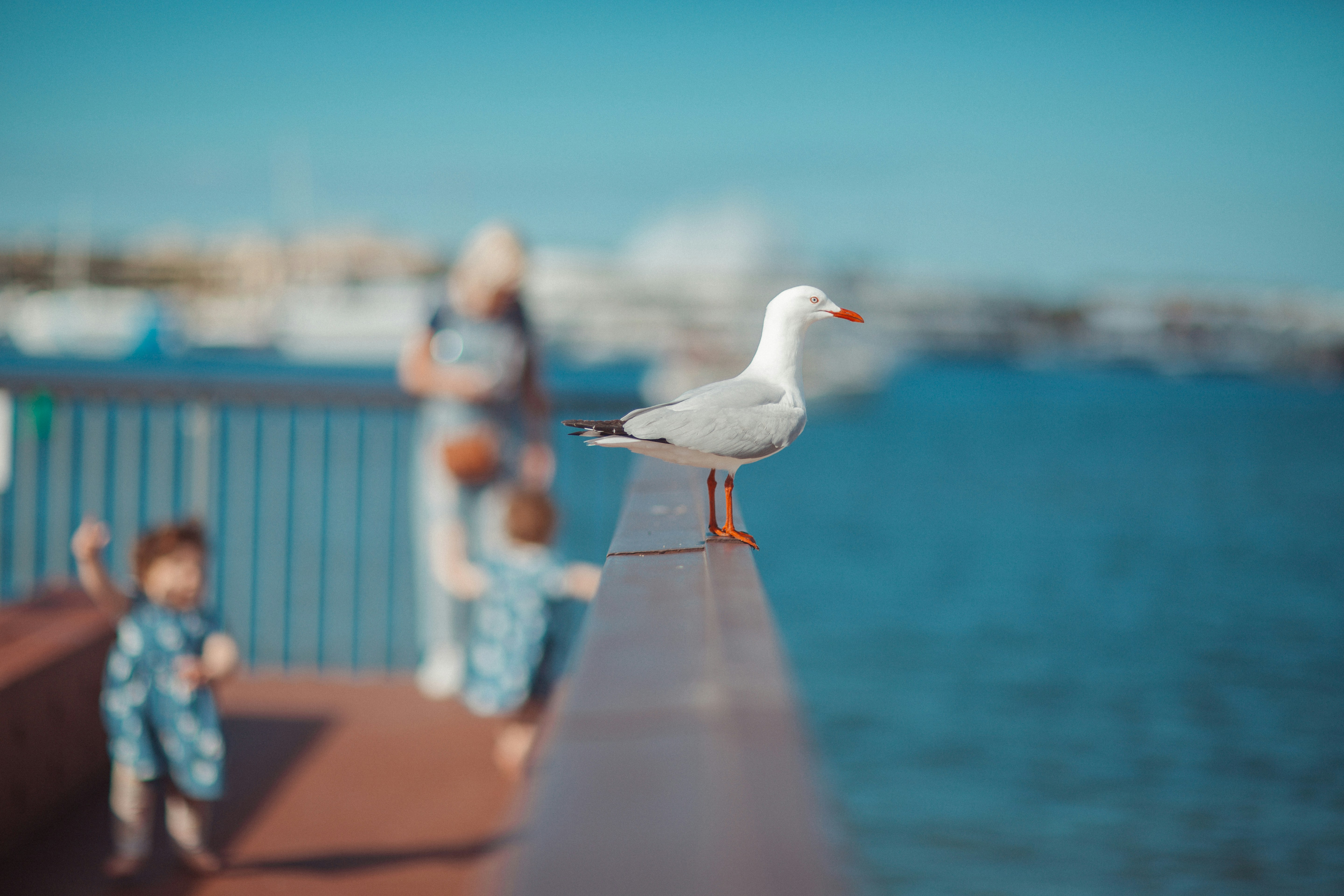 Photo by alexsatriani