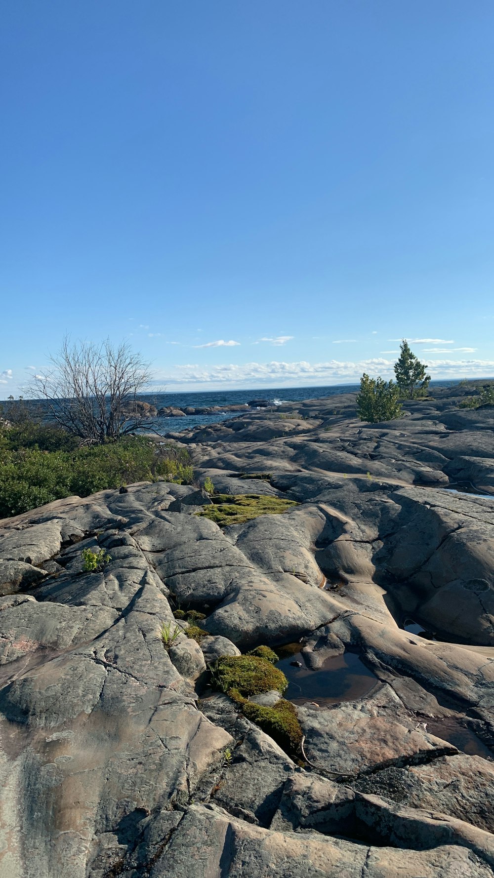 a rocky landscape with trees and blue sky