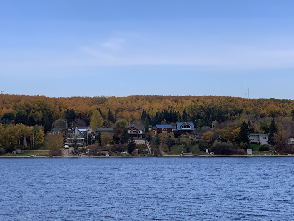 a body of water with houses and trees around it