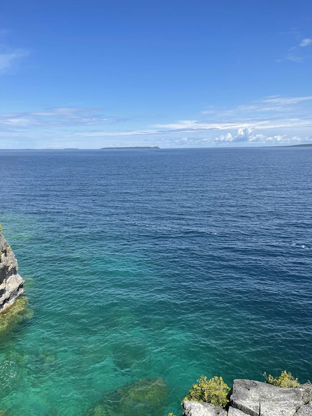 a body of water with rocks and plants on the side