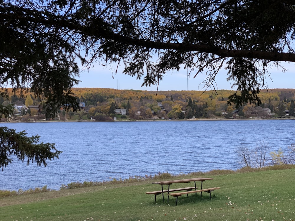 a bench sits by a lake