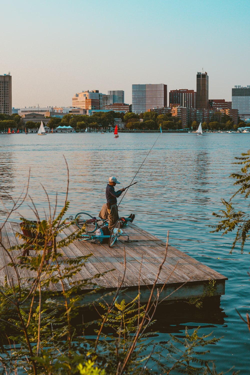 a person on a bicycle on a dock with a dog