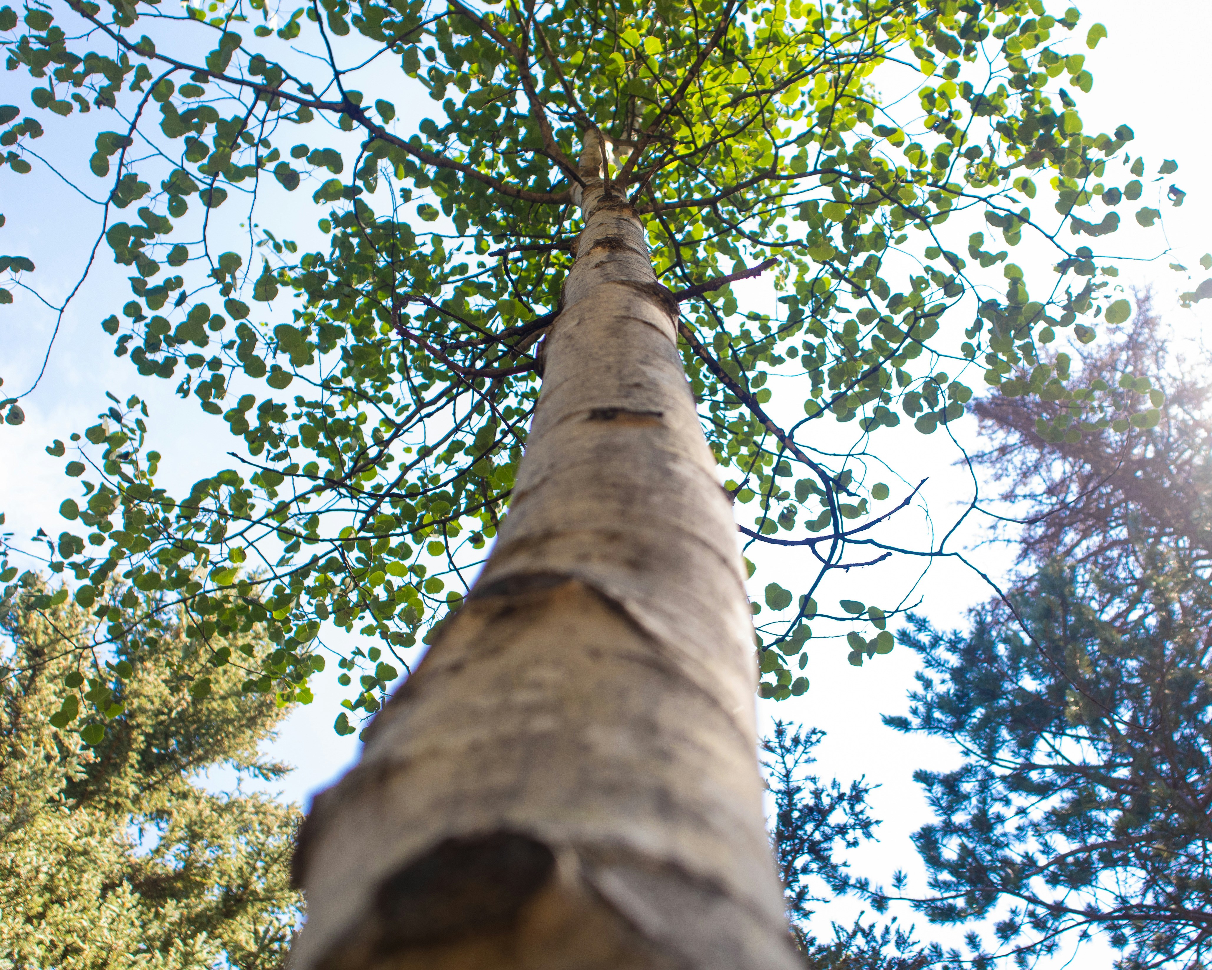 Photo by theenthusedlife