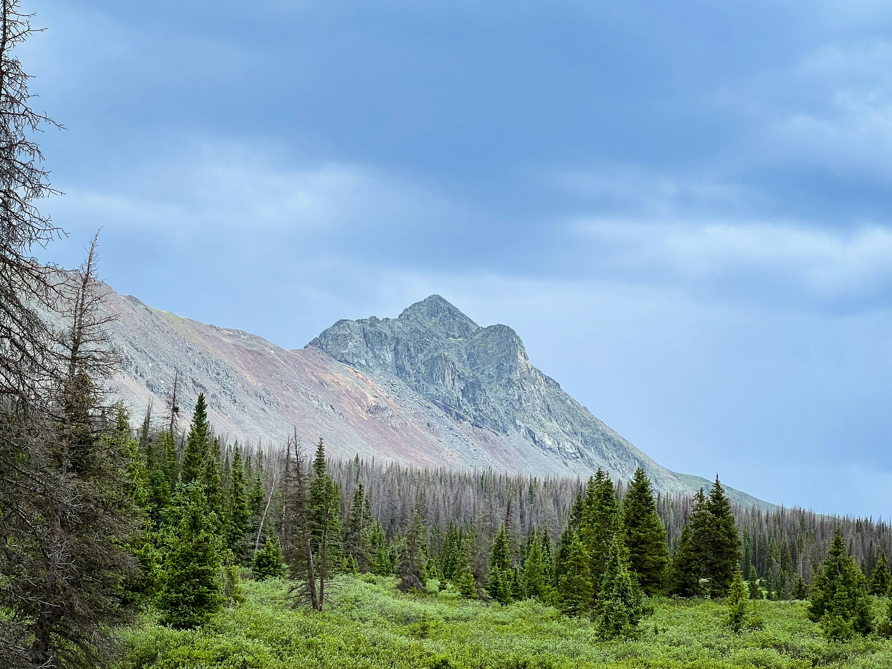 Photo by theenthusedlife