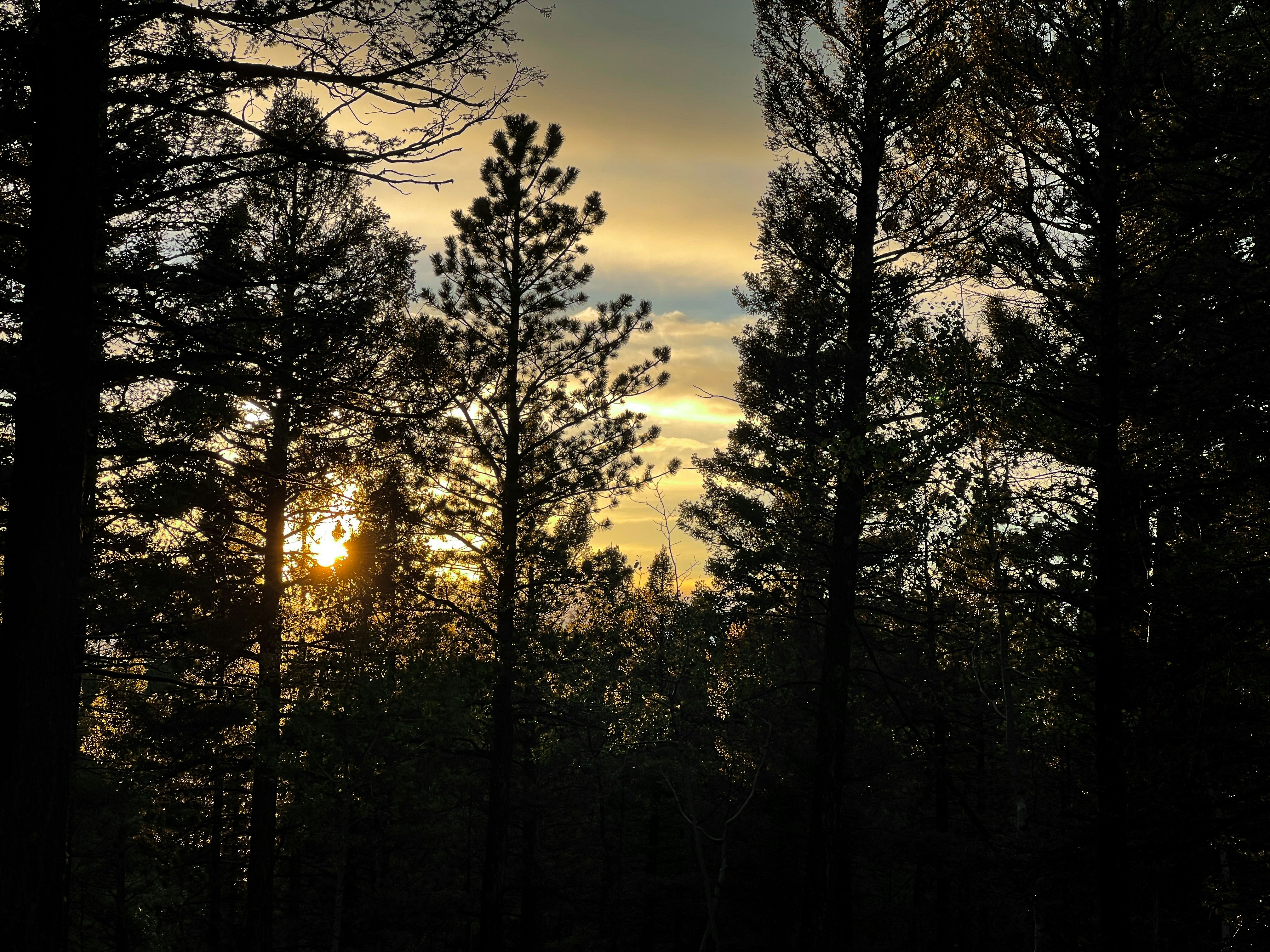 Photo by theenthusedlife