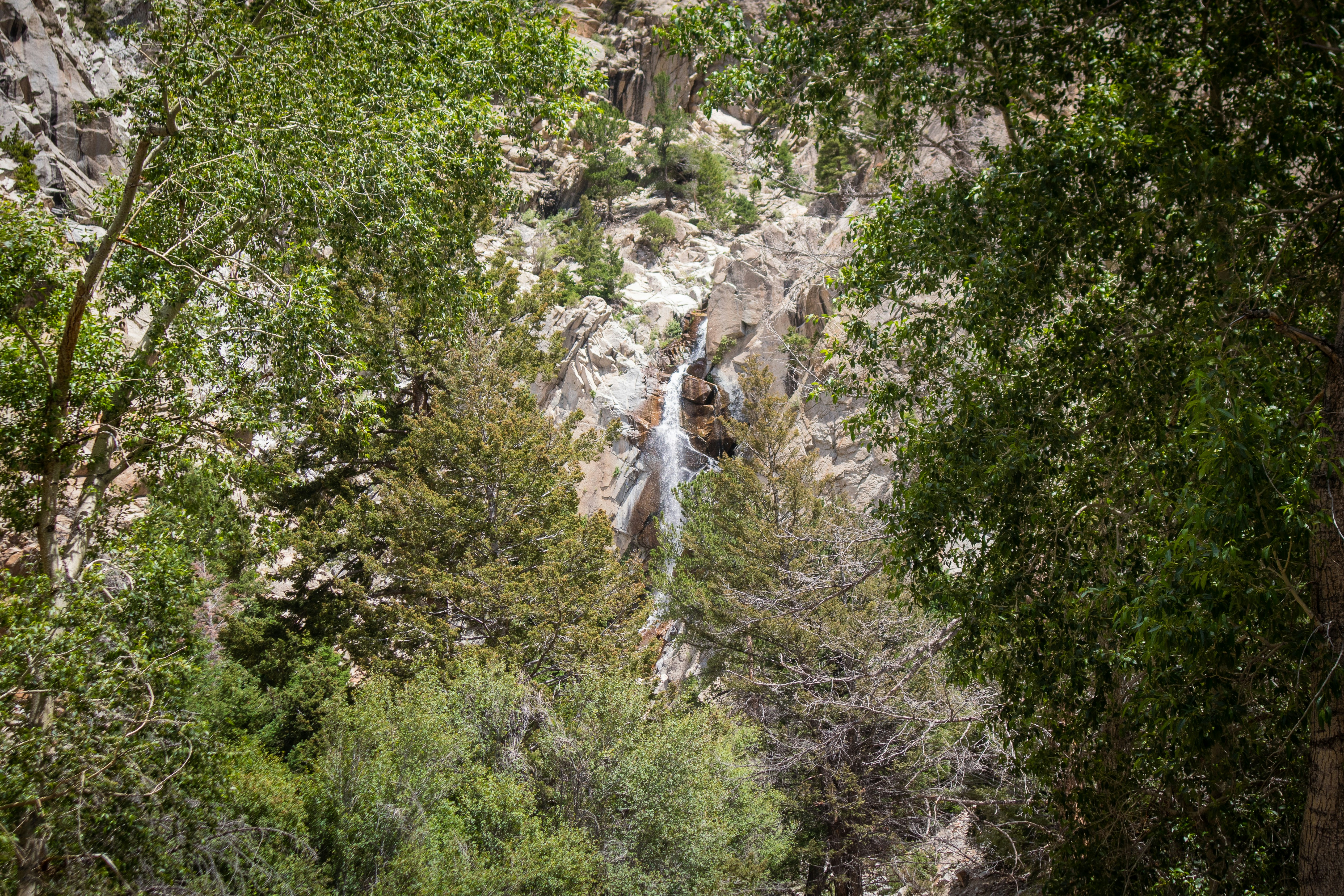 Photo by theenthusedlife