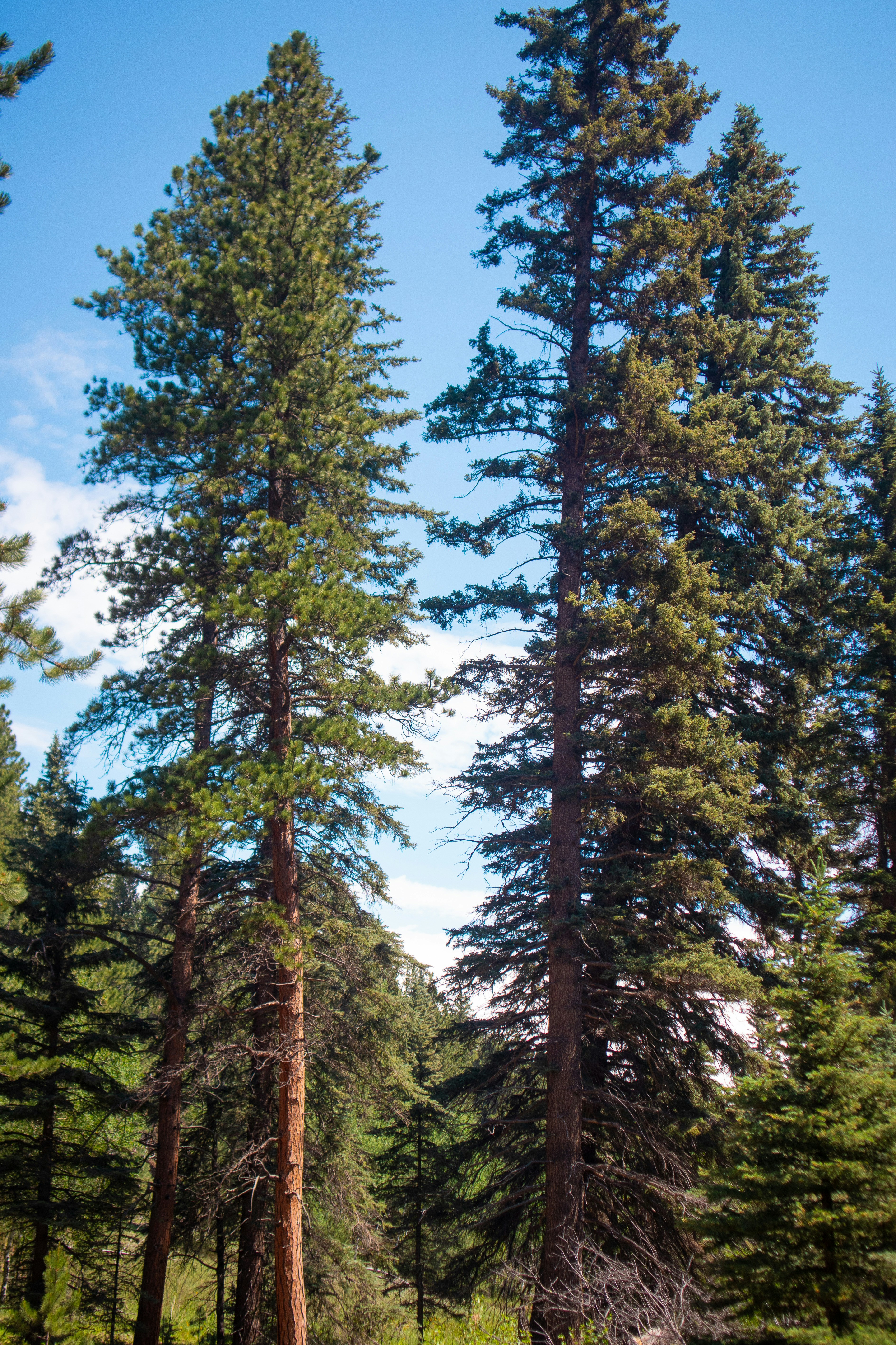 Photo by theenthusedlife