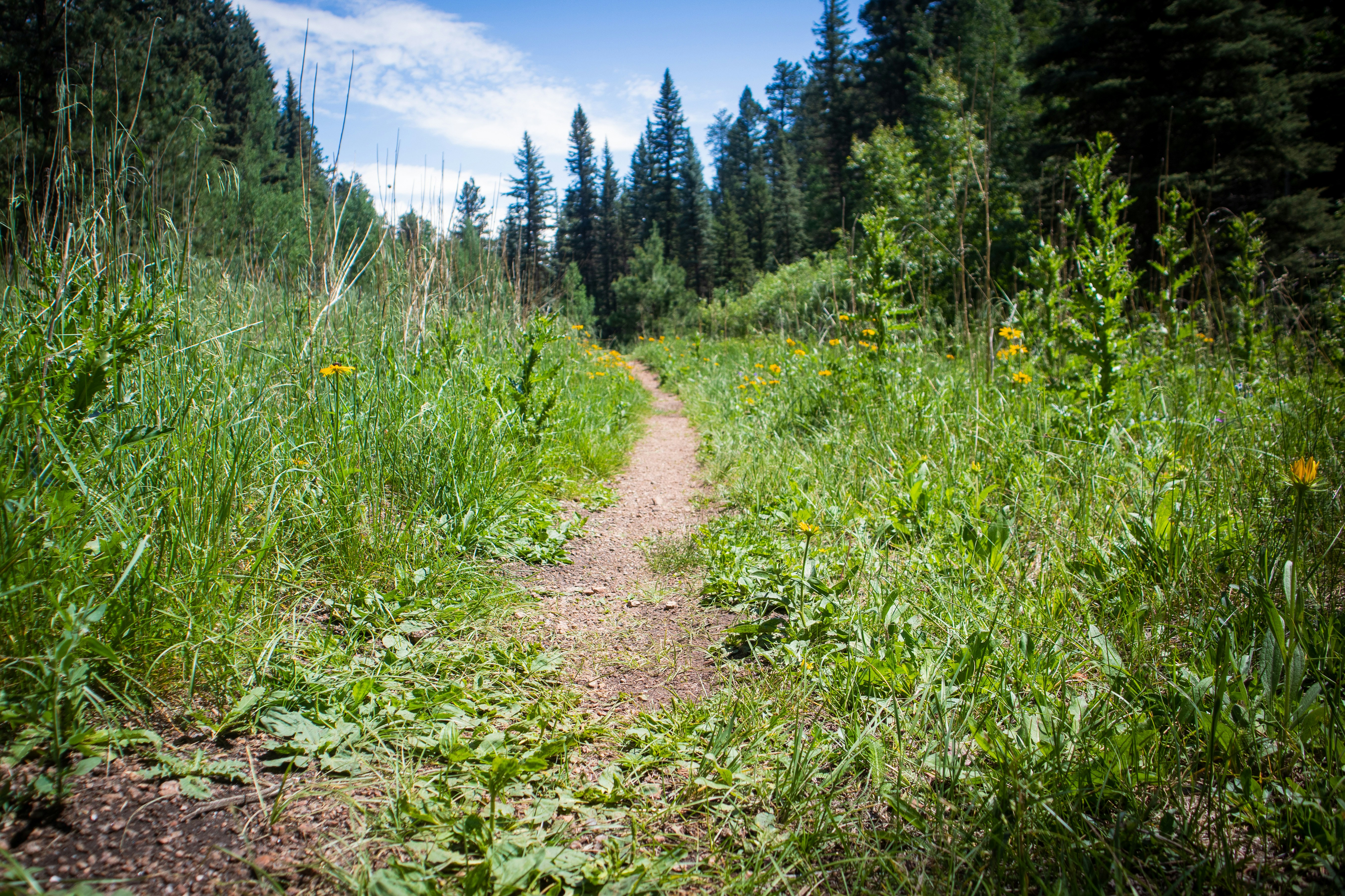 Photo by theenthusedlife