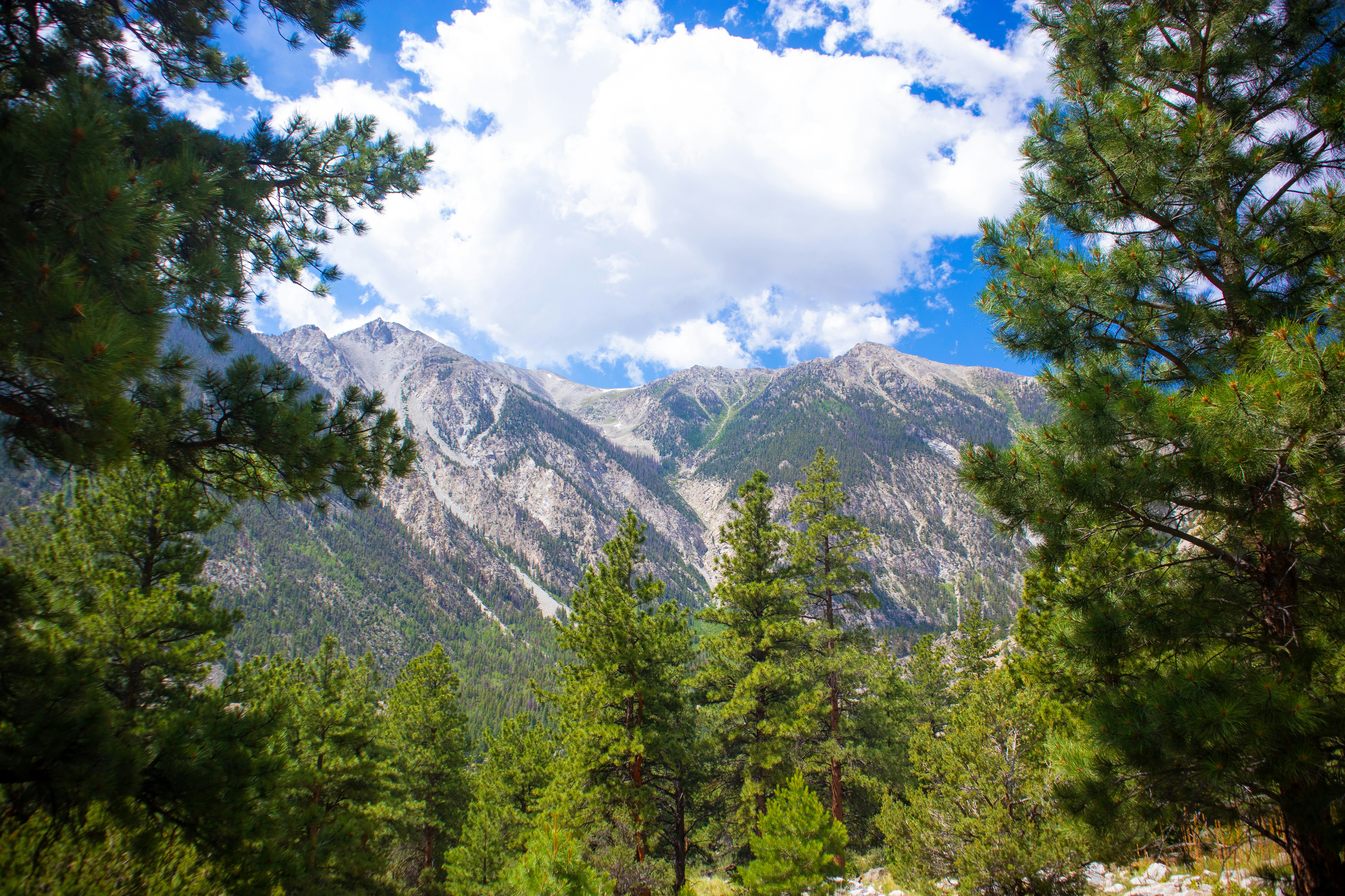 Photo by theenthusedlife