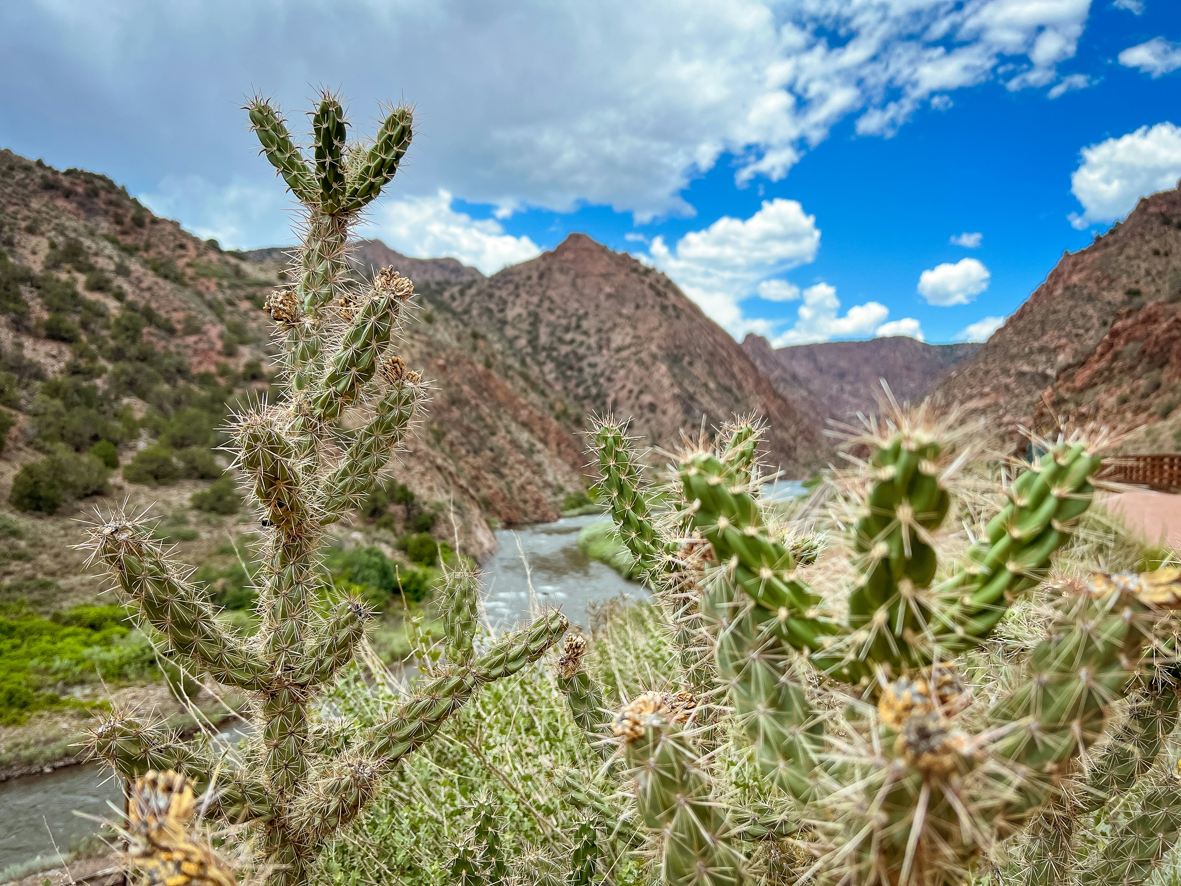 Photo by theenthusedlife