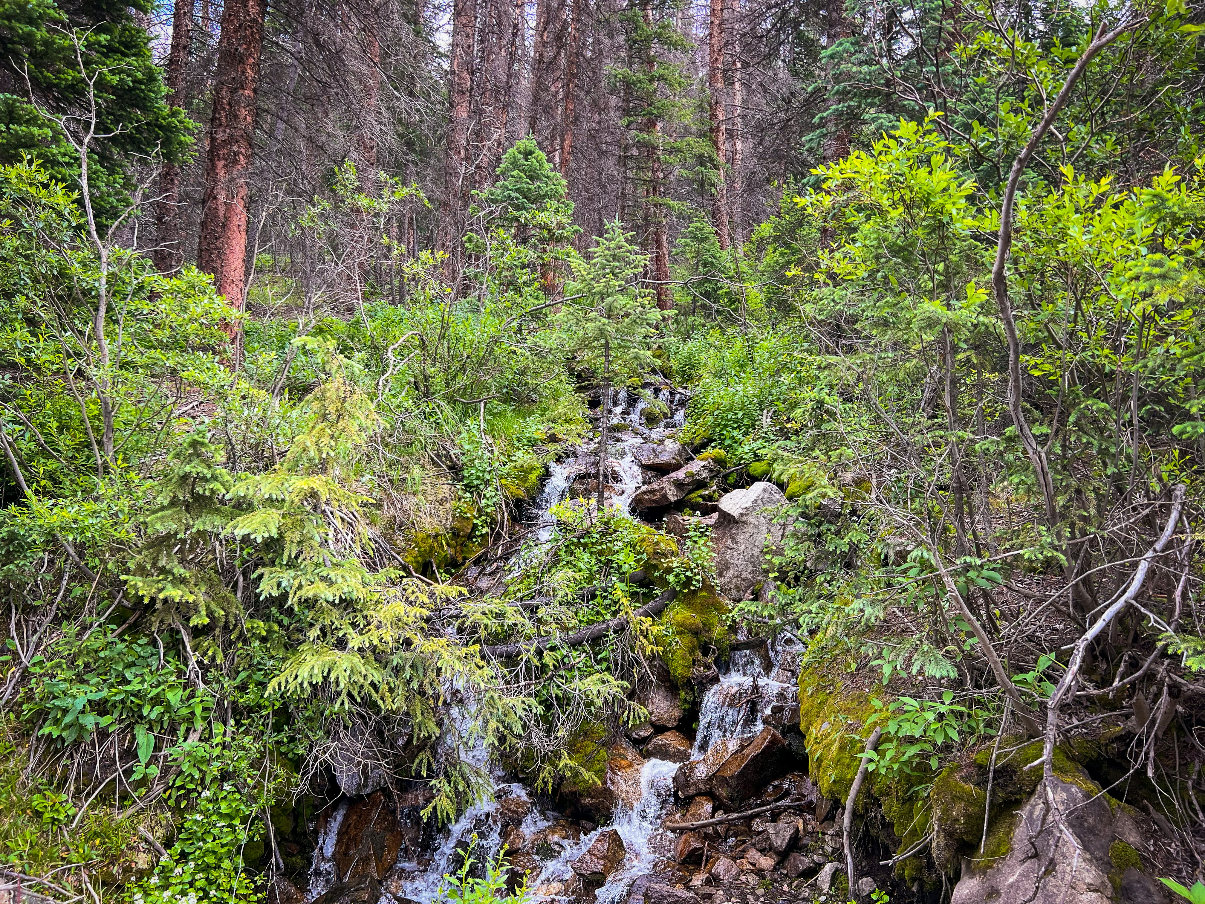 Photo by theenthusedlife