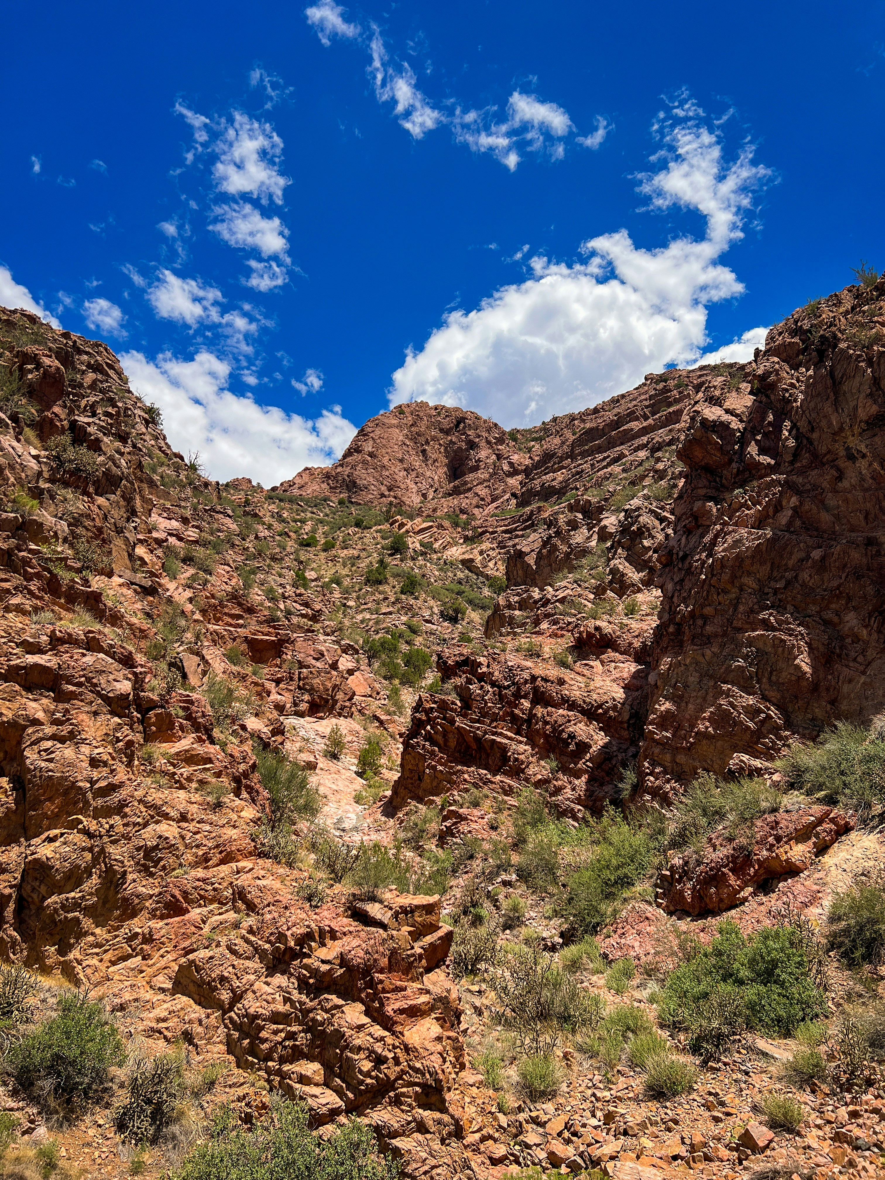 Photo by theenthusedlife