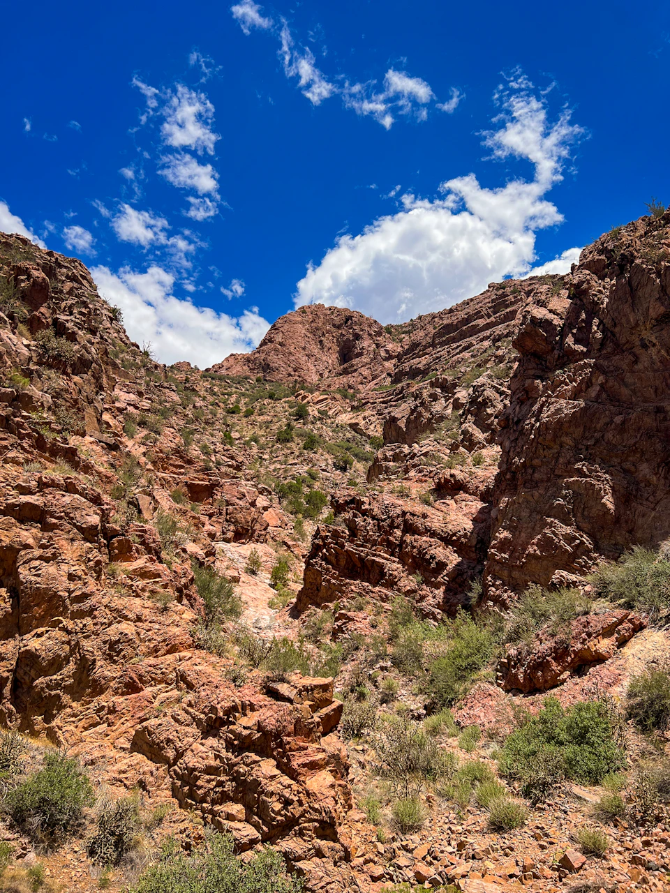 The image depicts a rugged, rocky mountain landscape with a steep, narrow cliff face on one side and a flat, grassy area on the other. The mountains are covered in red rock and scattered with patches of green vegetation. A few small trees can be seen among the rocks, adding to the natural beauty of the scene. The sky above is clear blue with fluffy white clouds, creating a striking contrast against the rocky terrain below.