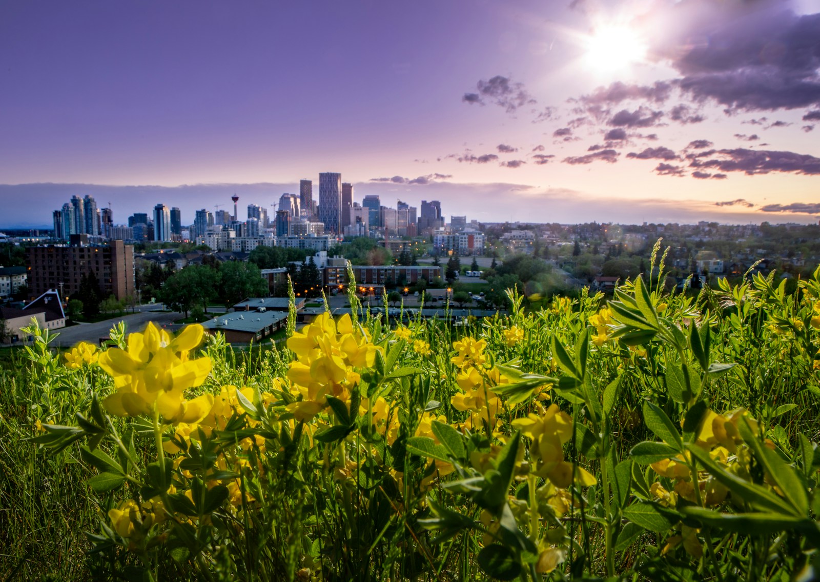 5 Things That Will Affect Calgary Real Estate in the Next 10 Years