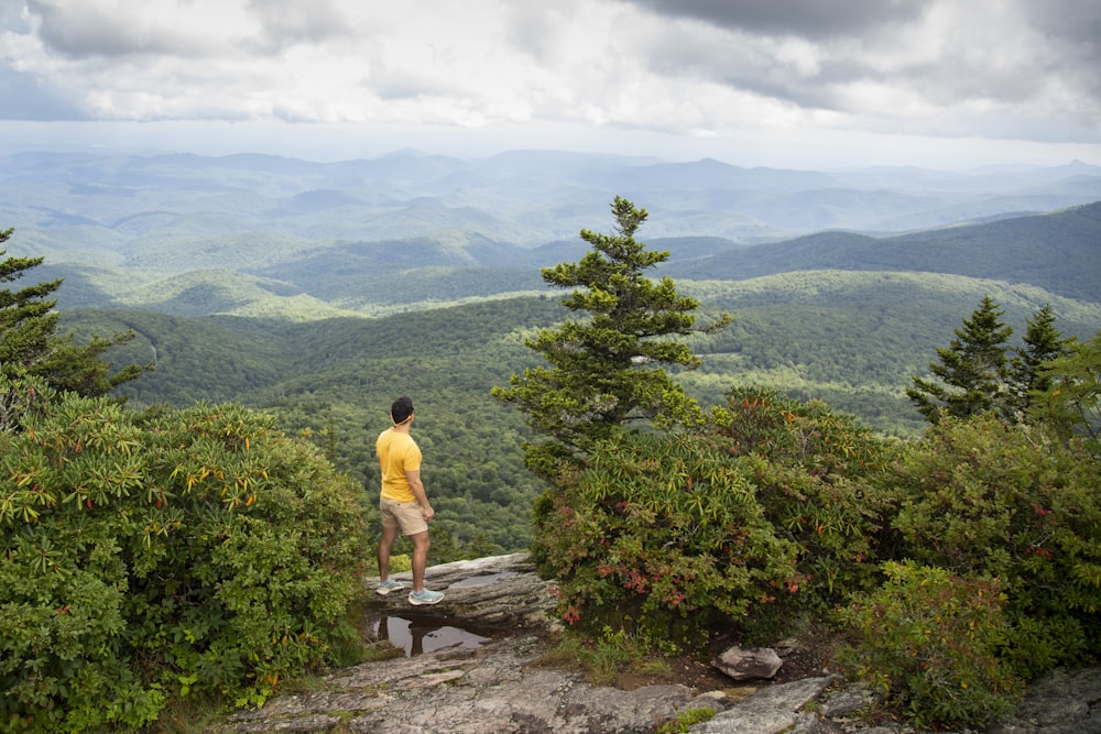 a man standing on a rock overlooking a forest