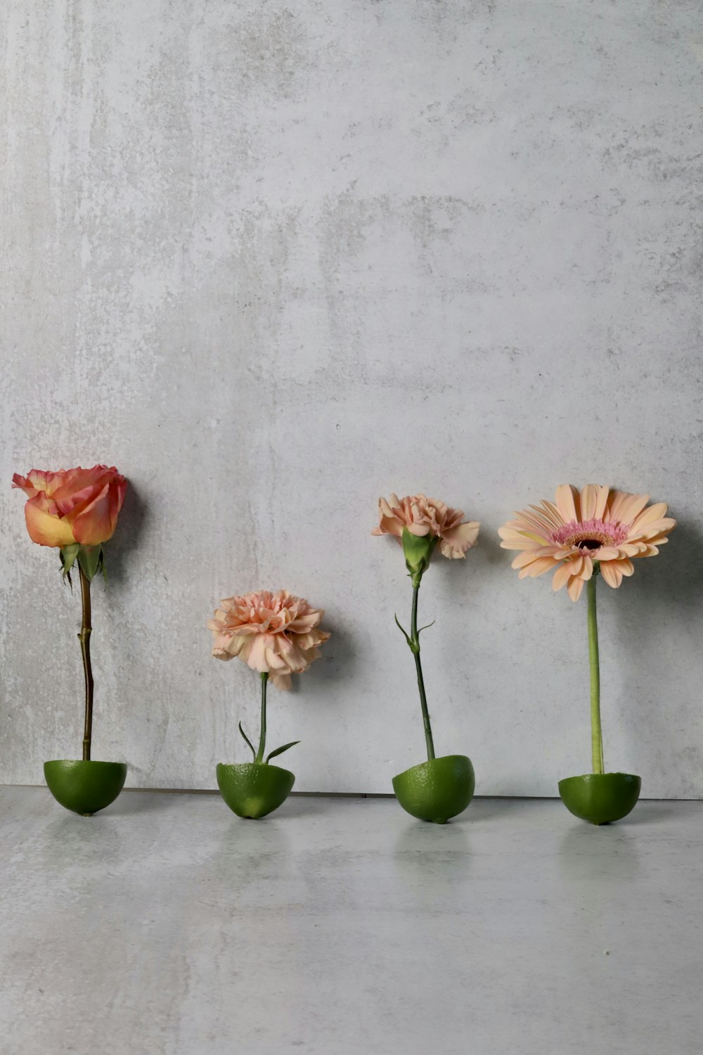 a group of flowers in green pots