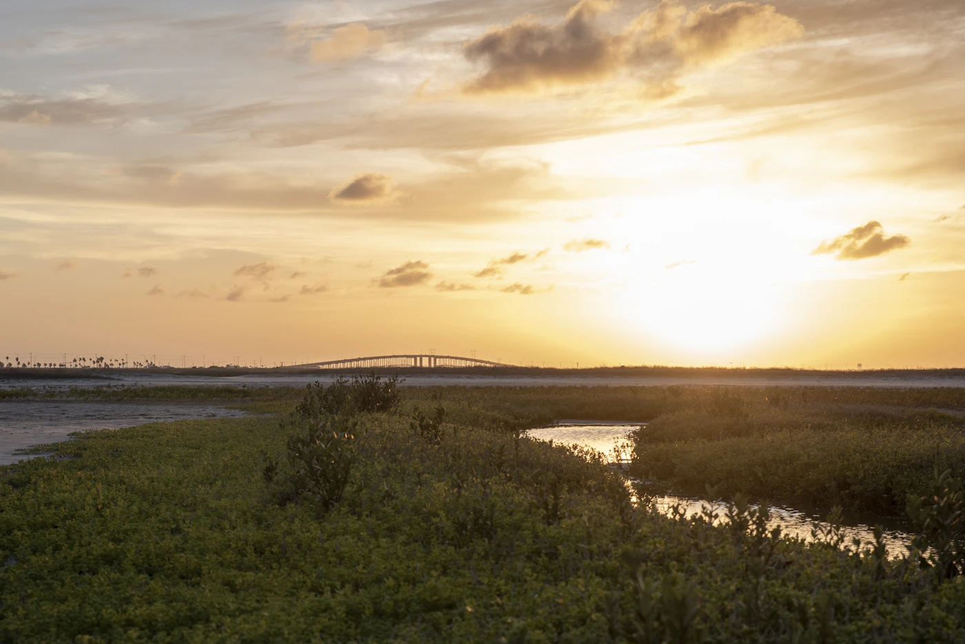 Coastal Bend bay and marshland at sunset