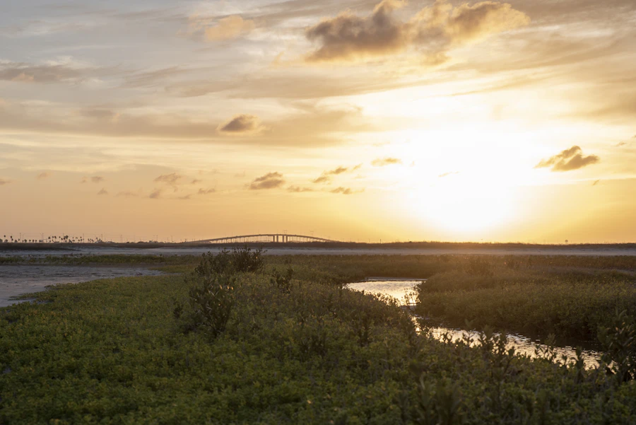 Coastal Bend bay and marshland at sunset