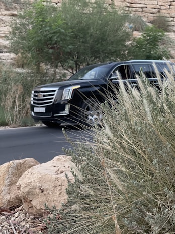 a black car parked on the side of a road