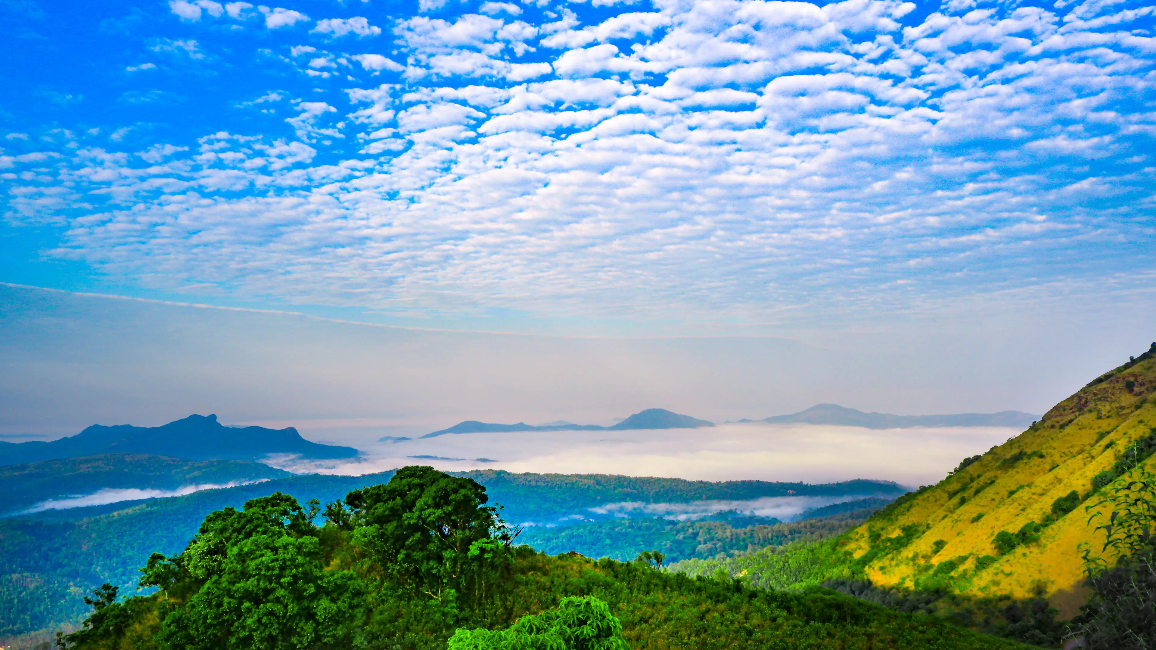 A sea of cloud filling the Western Ghats valleys below a green ridge at first light